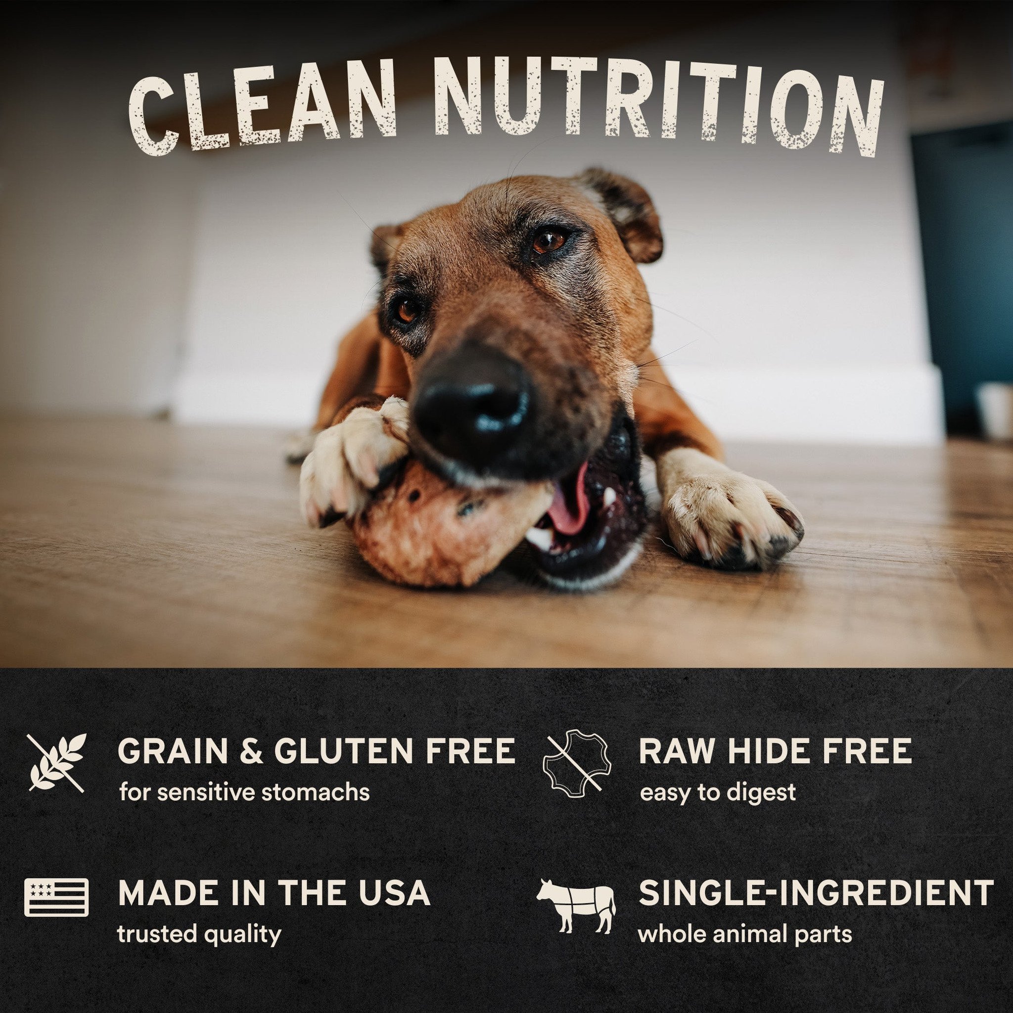Clean nutrition: grain and gluten free, raw hide free, made in the USA, single ingredient