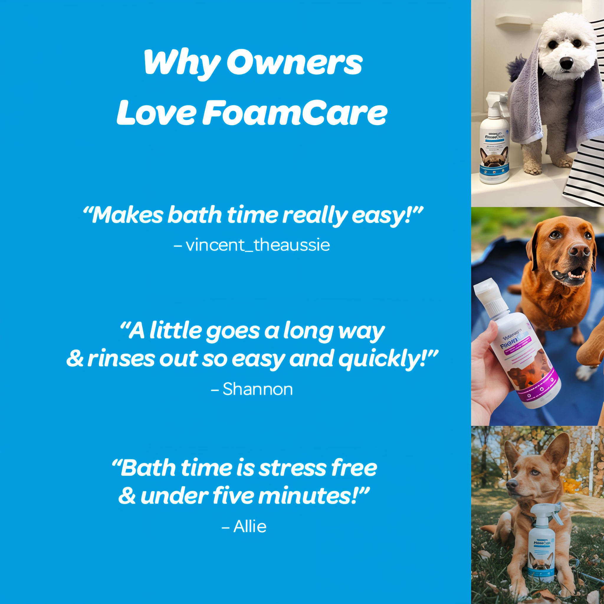 Why owners love Vetericyn FoamCare Pet Shampoo review panel