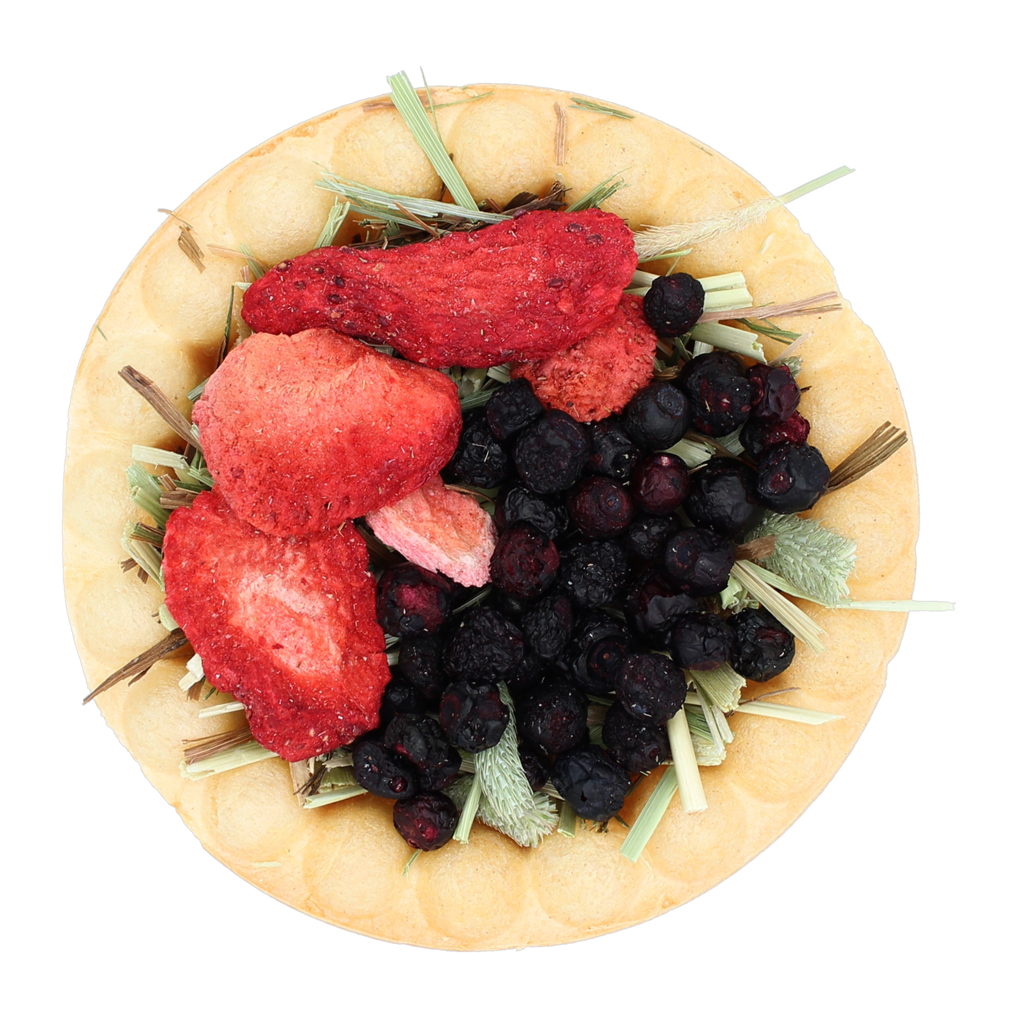 Vitakraft Berry Pie treat closeup with strawberries and blueberries on Timothy hay in baked crust