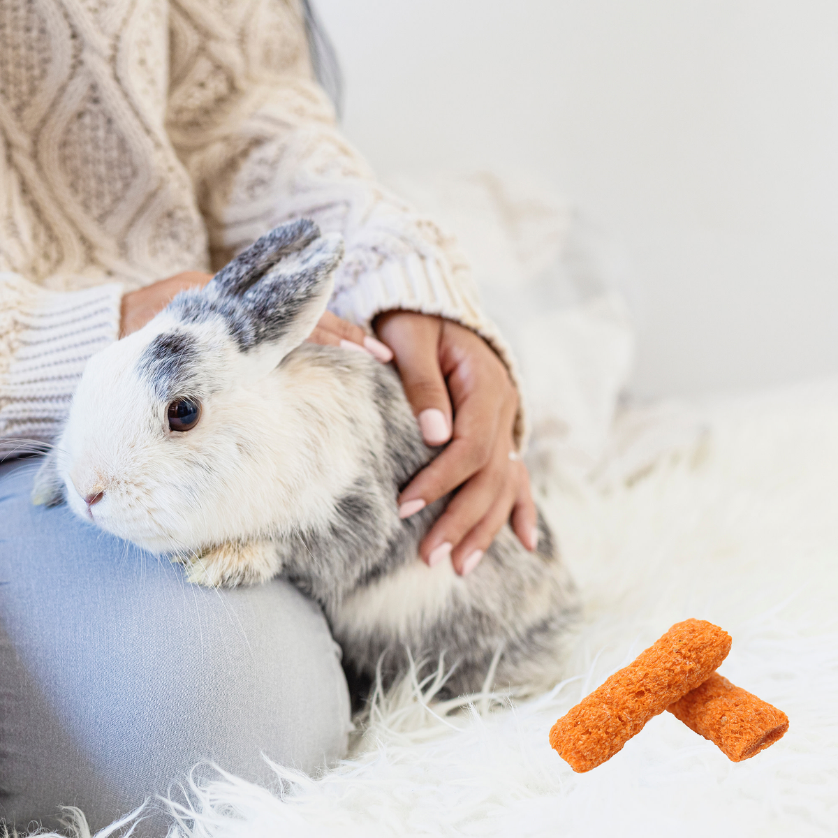 Rabbit sitting on a lap next to Vitakraft Slims carrot sticks