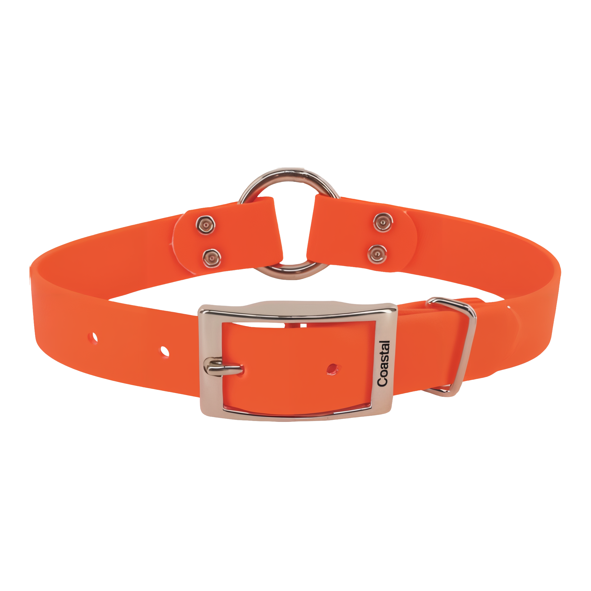Water & Woods Waterproof Hound Dog Collar