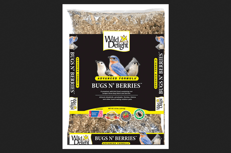 Wild Delight Bugs N Berries Assorted Species Safflower Seeds Wild Bird Food