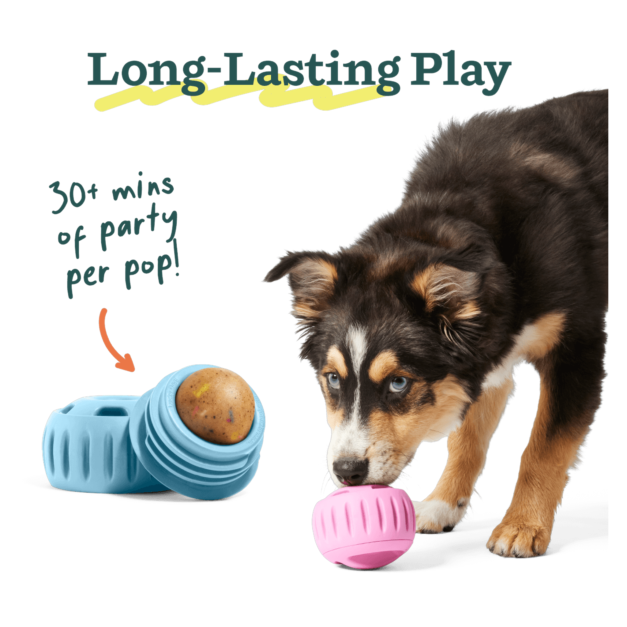 How to use Woof Birthday Pops: open, drop in, party