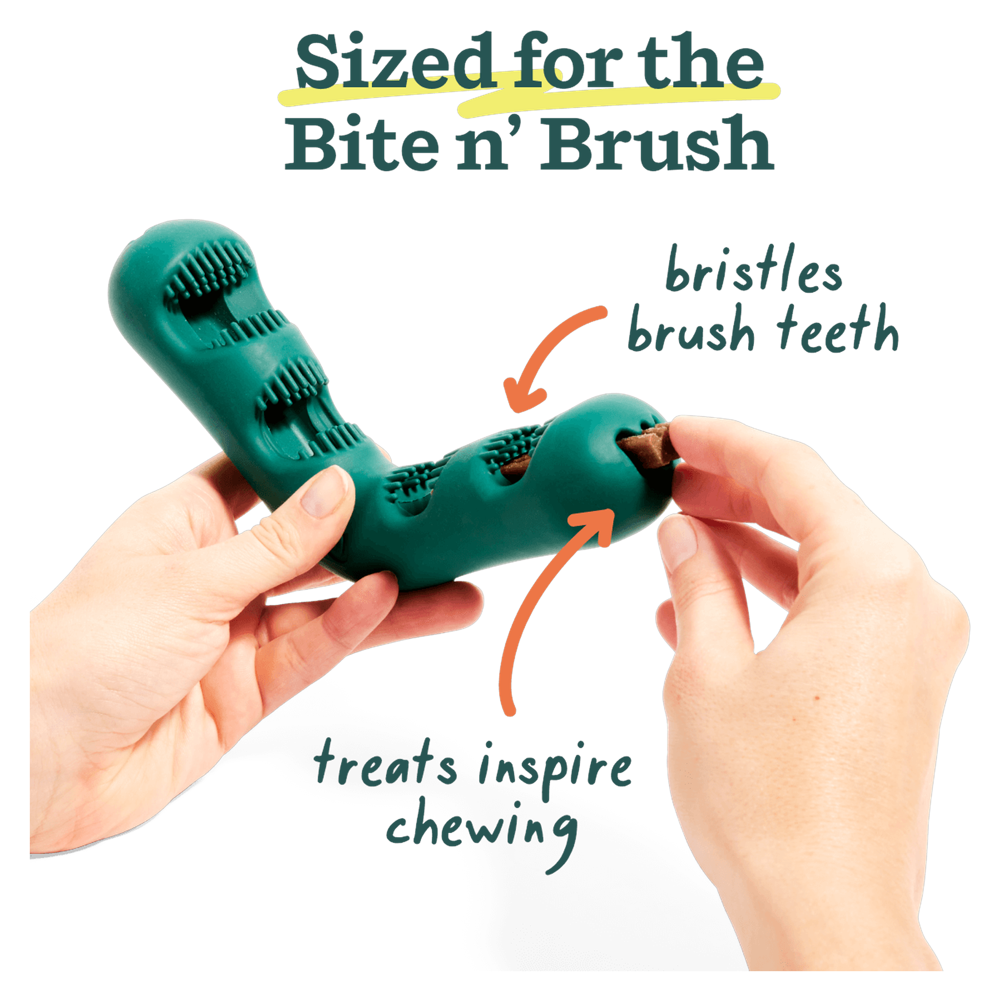 Load Woof Bite n' Brush Refill sticks into the Bite n' Brush toy