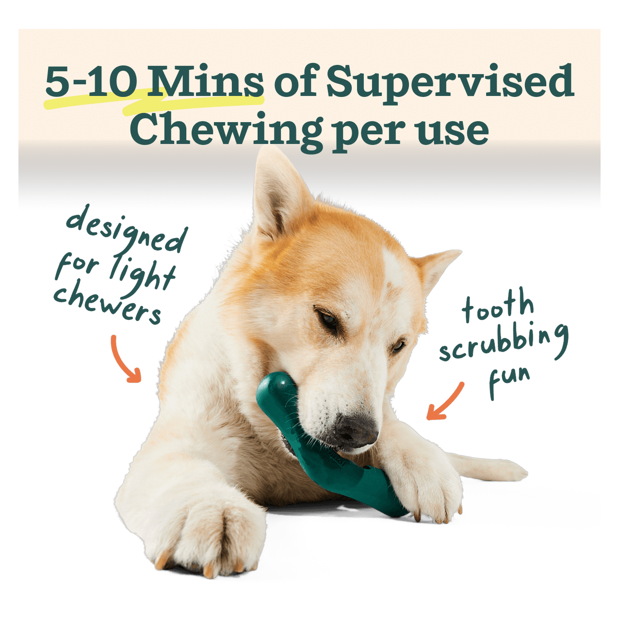 Woof Bite n' Brush loaded with dental refill sticks