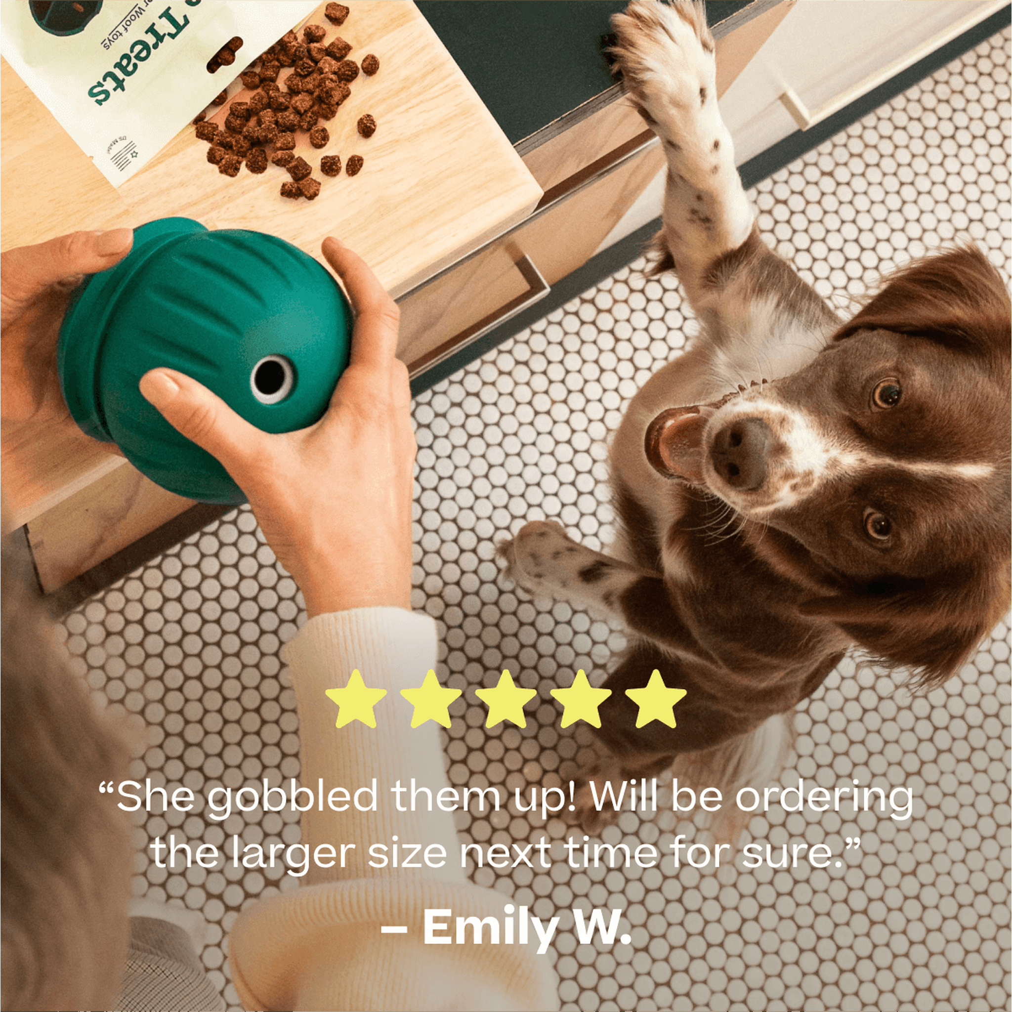 Dog solving a Woof puzzle toy filled with Chicken Puzzle Treats