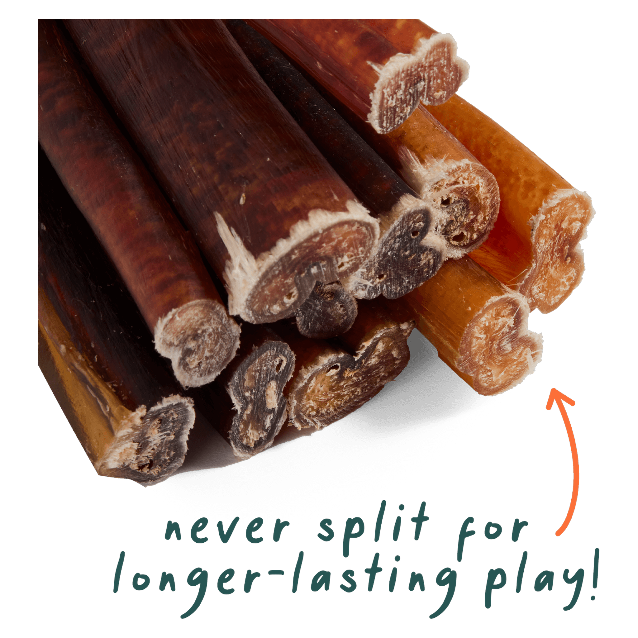 Chewing Woof Bully Sticks helps clean plaque and tartar from dog teeth