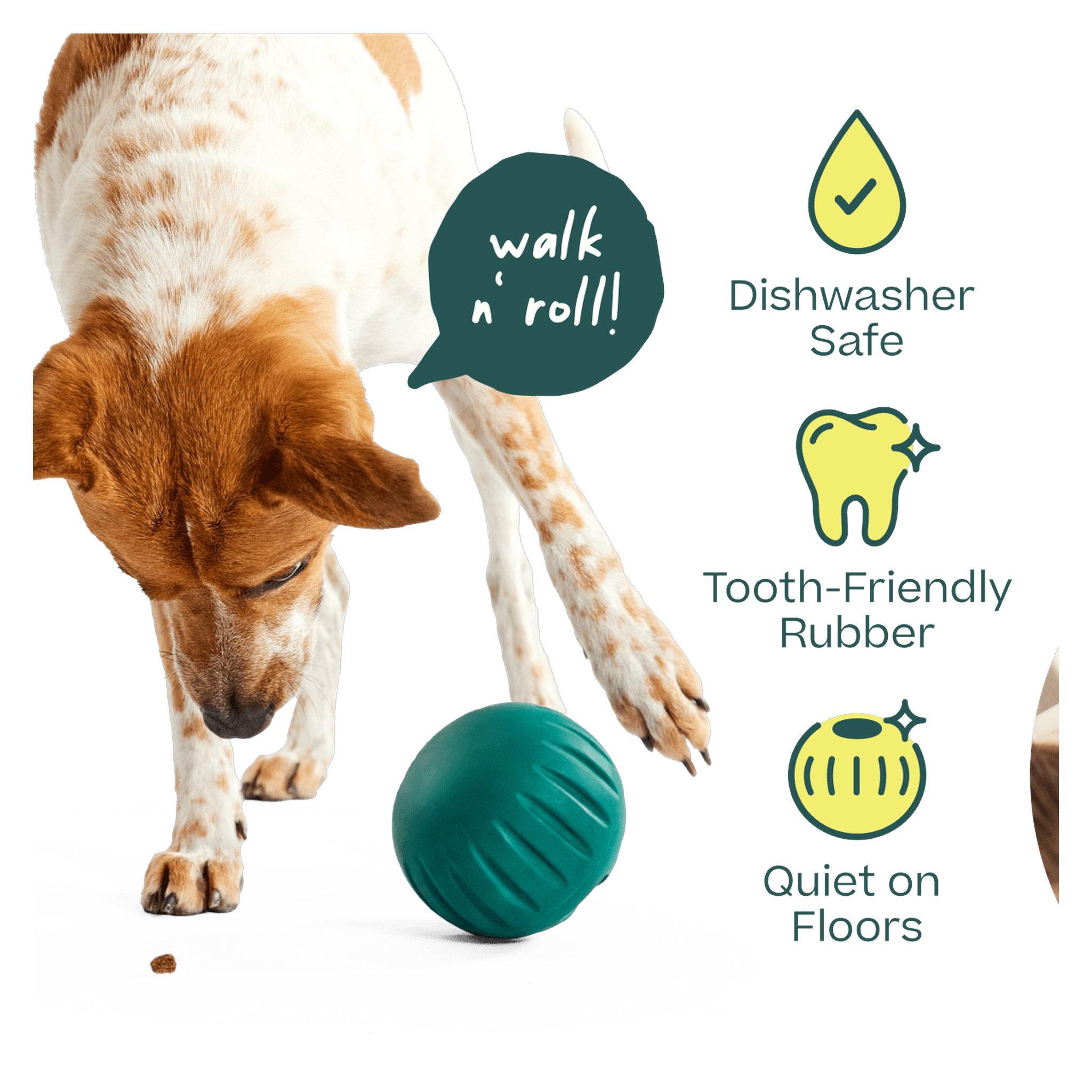 Fill the Walkabout with kibble for a rolling slow-feeder meal