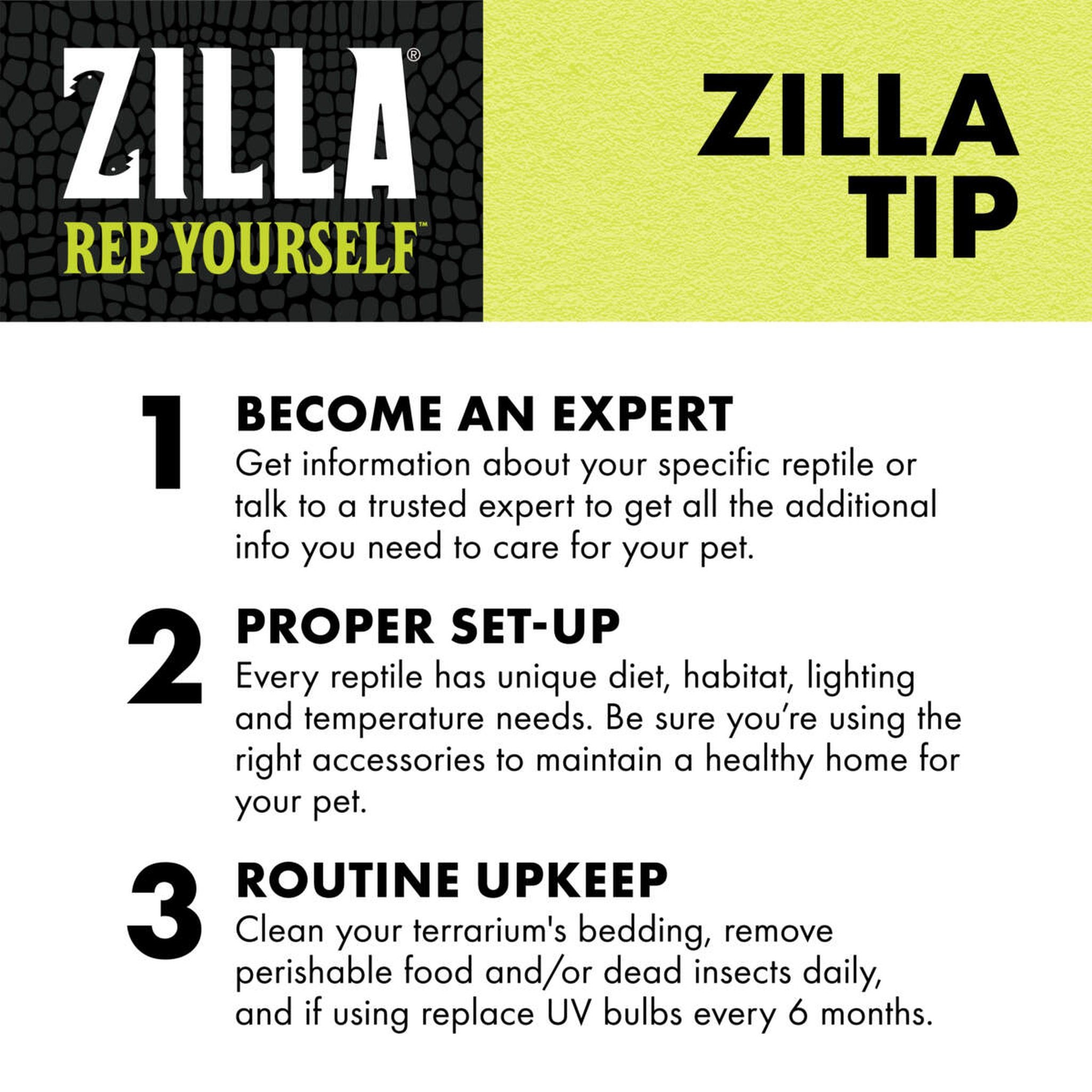 Zilla tips: become an expert, proper set-up and routine upkeep