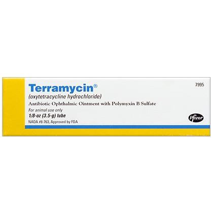 Terramycin Ophthalmic Ointment for Dogs Cats and Horses