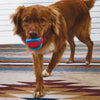 KONG Jaxx Brights Tug w/Ring