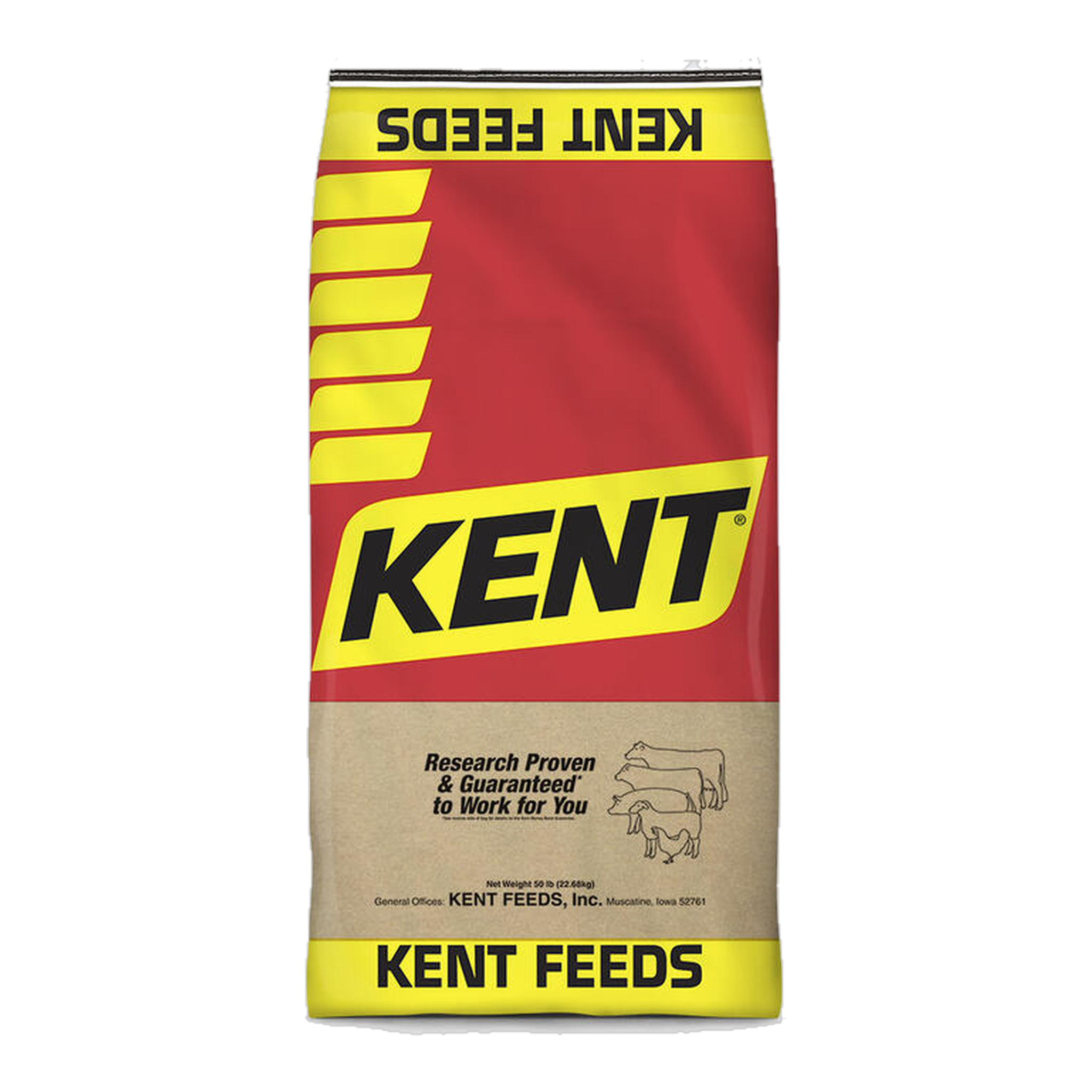 Kent 34 Lamb Supplement 50 LB #50 LB