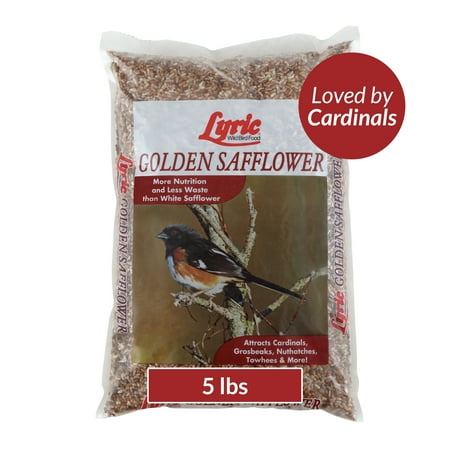 Lyric Golden Safflower Wild Bird Seed, 5 lb bag #5 lb