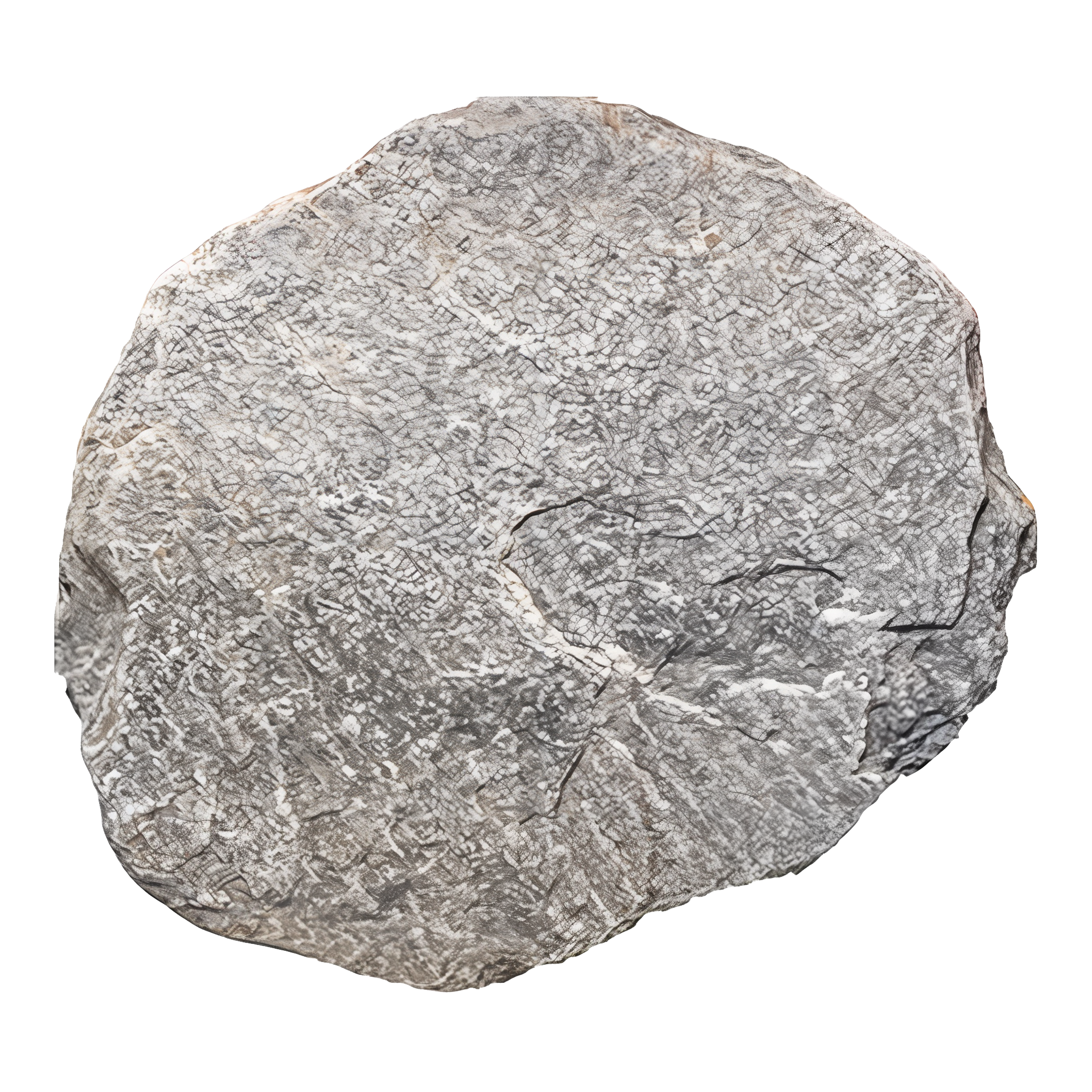 Autumn Silver Stepping Stones