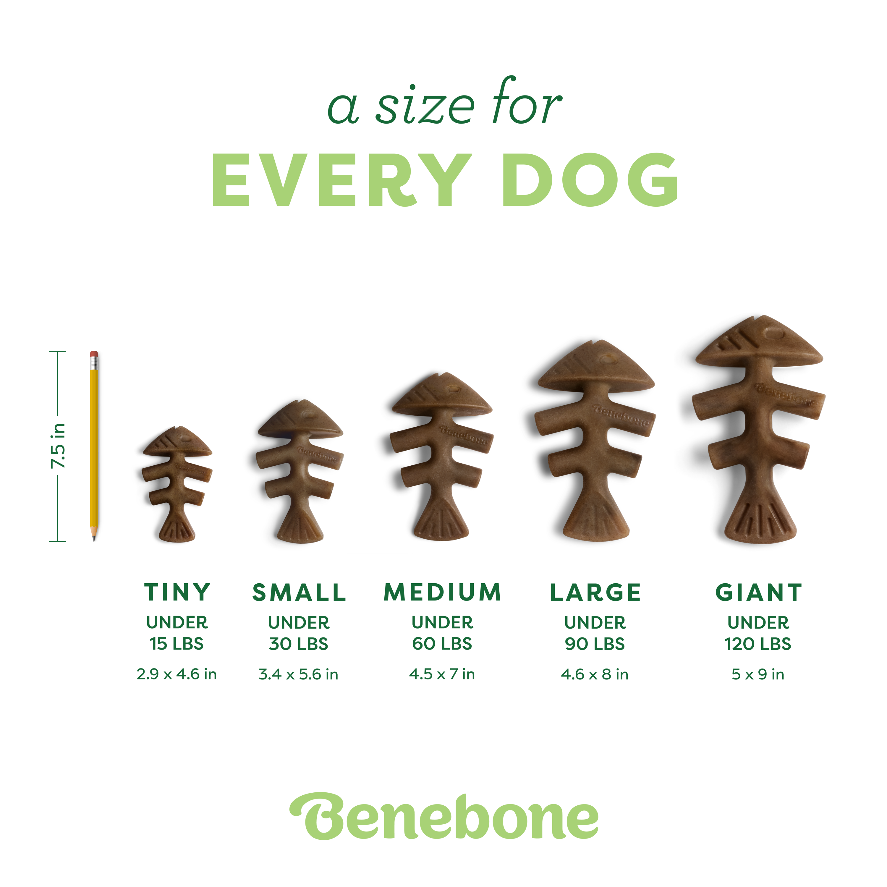 Fishbone real Jack Salmon flavor