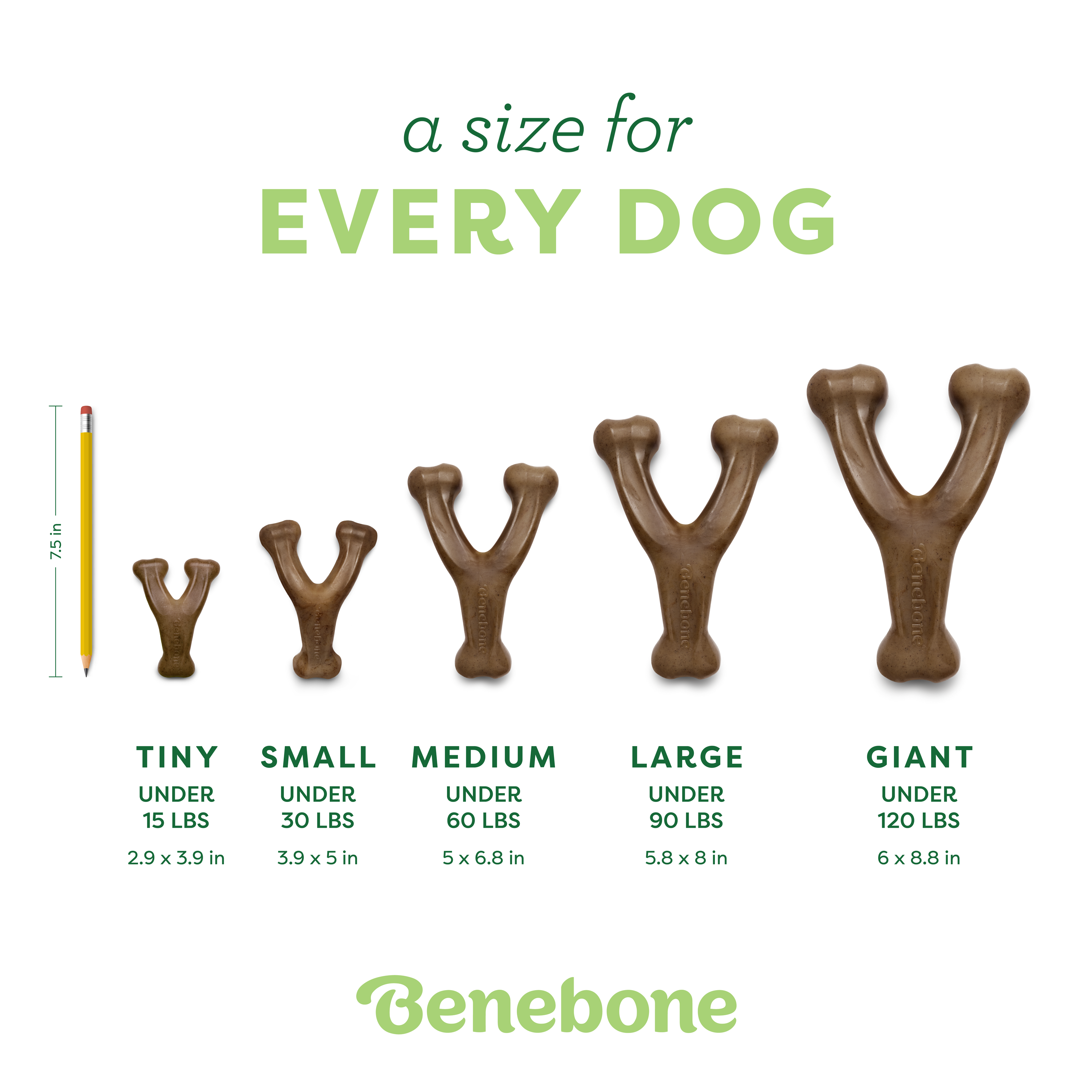 Benebone Wishbone real flavor detail