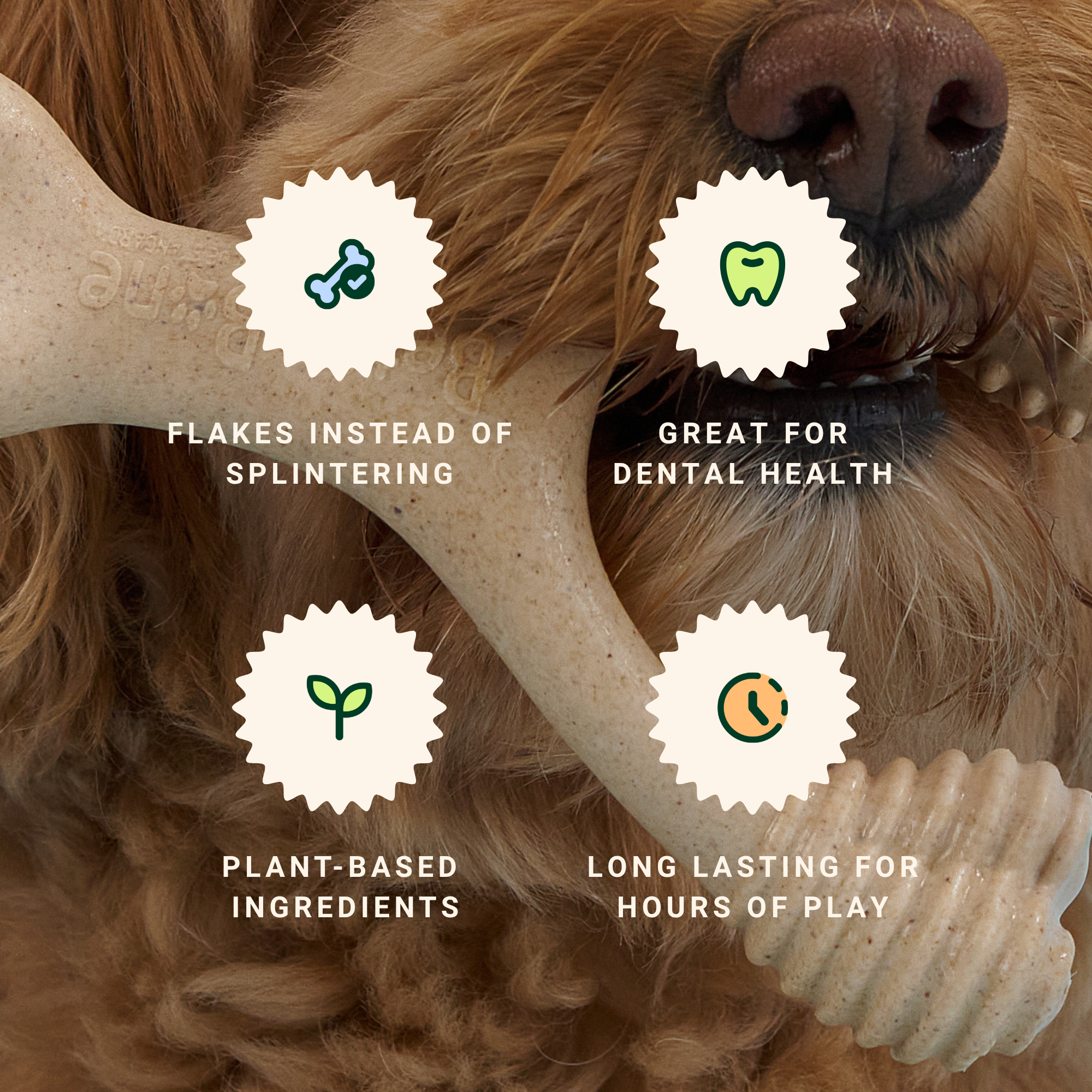BetterBone benefits: plant-based, non-toxic, hypoallergenic