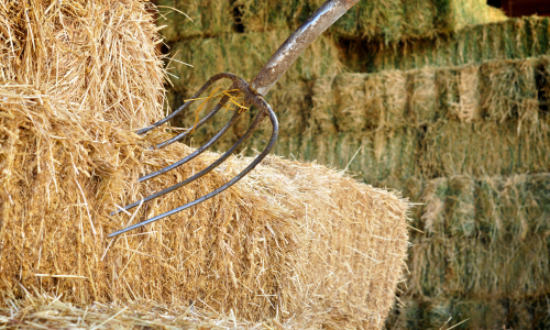 A pitchfork placed inside of square bales of hay