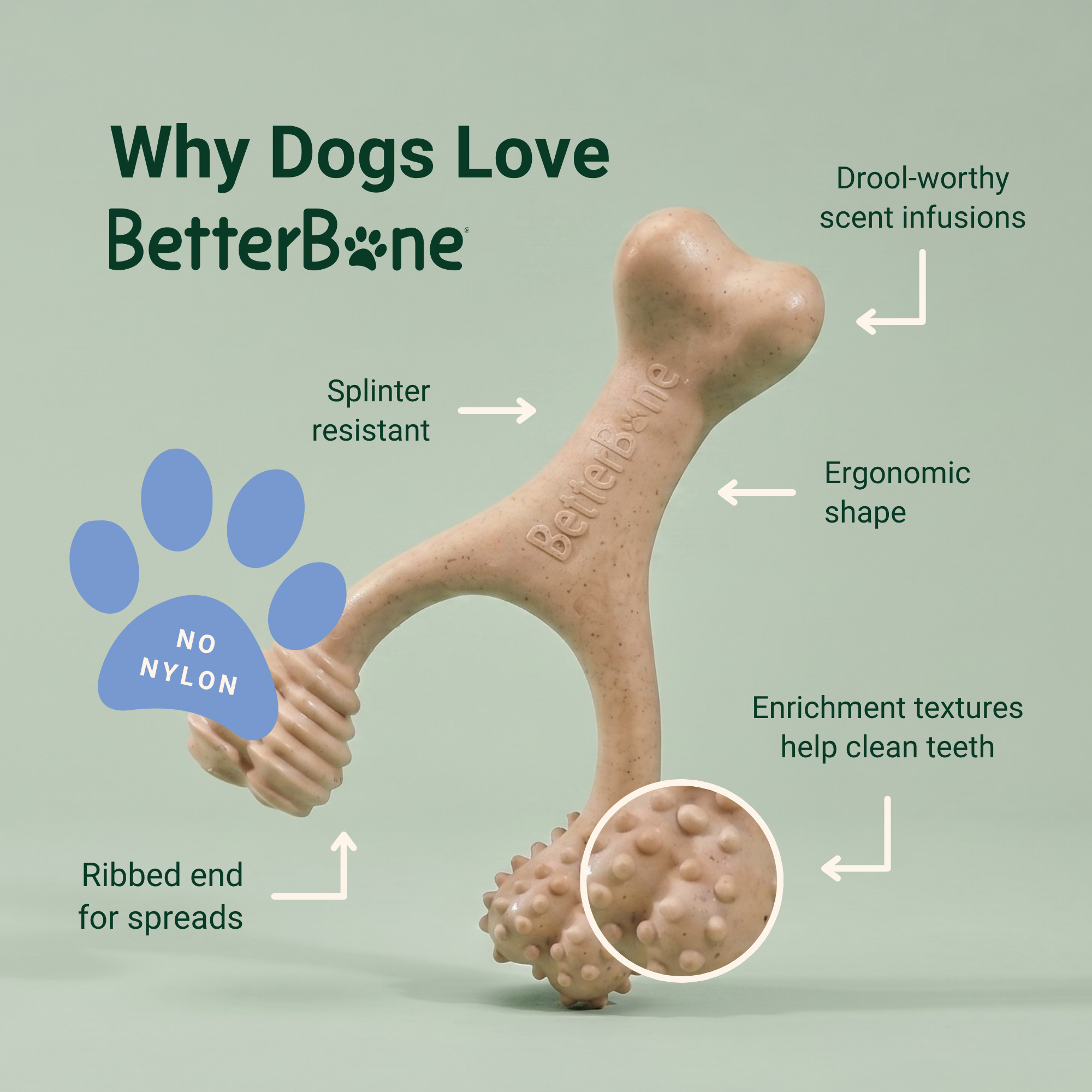 BetterBone product features overview