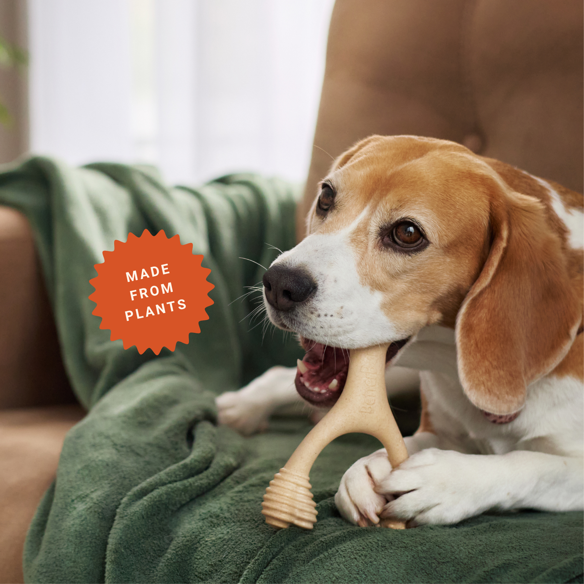Dog enjoying a BetterBone chew