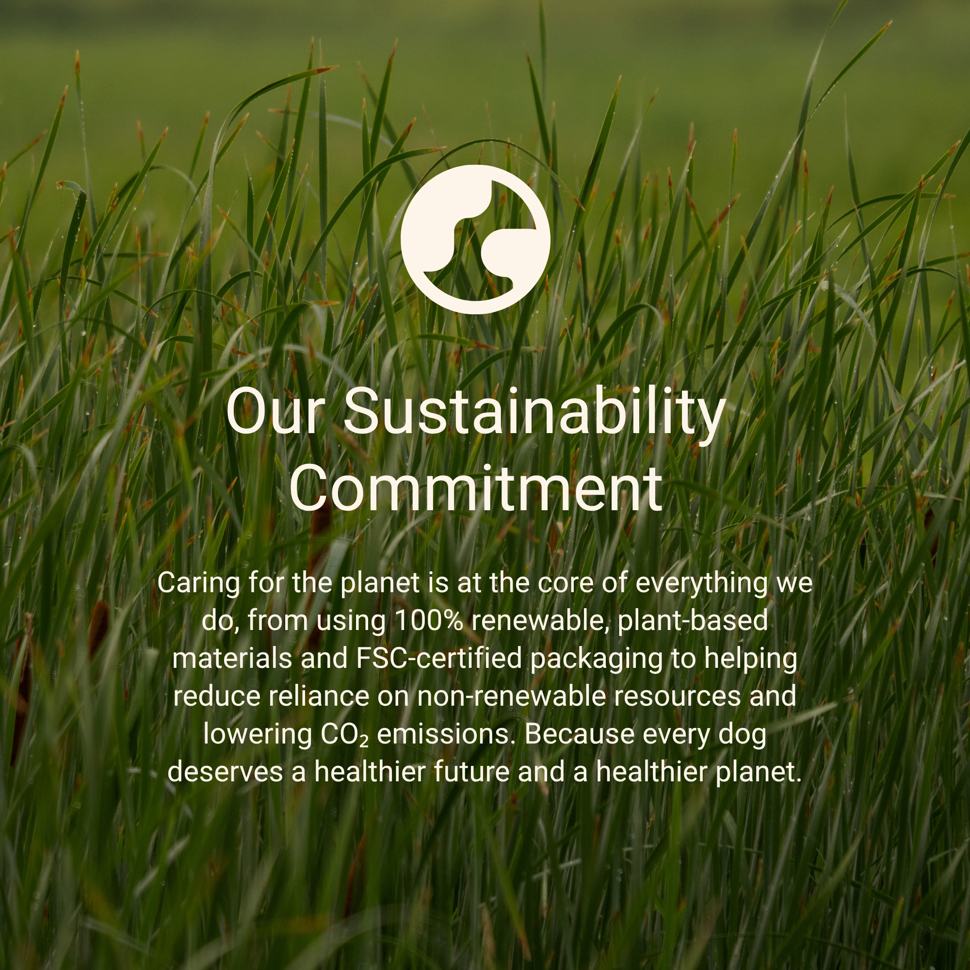 BetterBone sustainability and carbon-neutral commitment