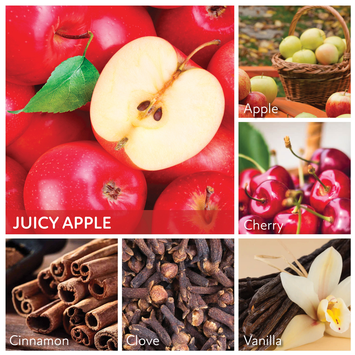 A Cheerful Giver Juicy Apple 6 oz Baby Jar Candle -- scent notes panel