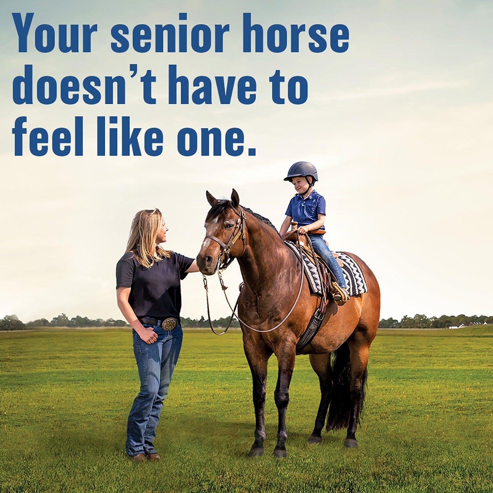 Absorbine Bute-Less comfort and recovery pellets, supports senior horse comfort