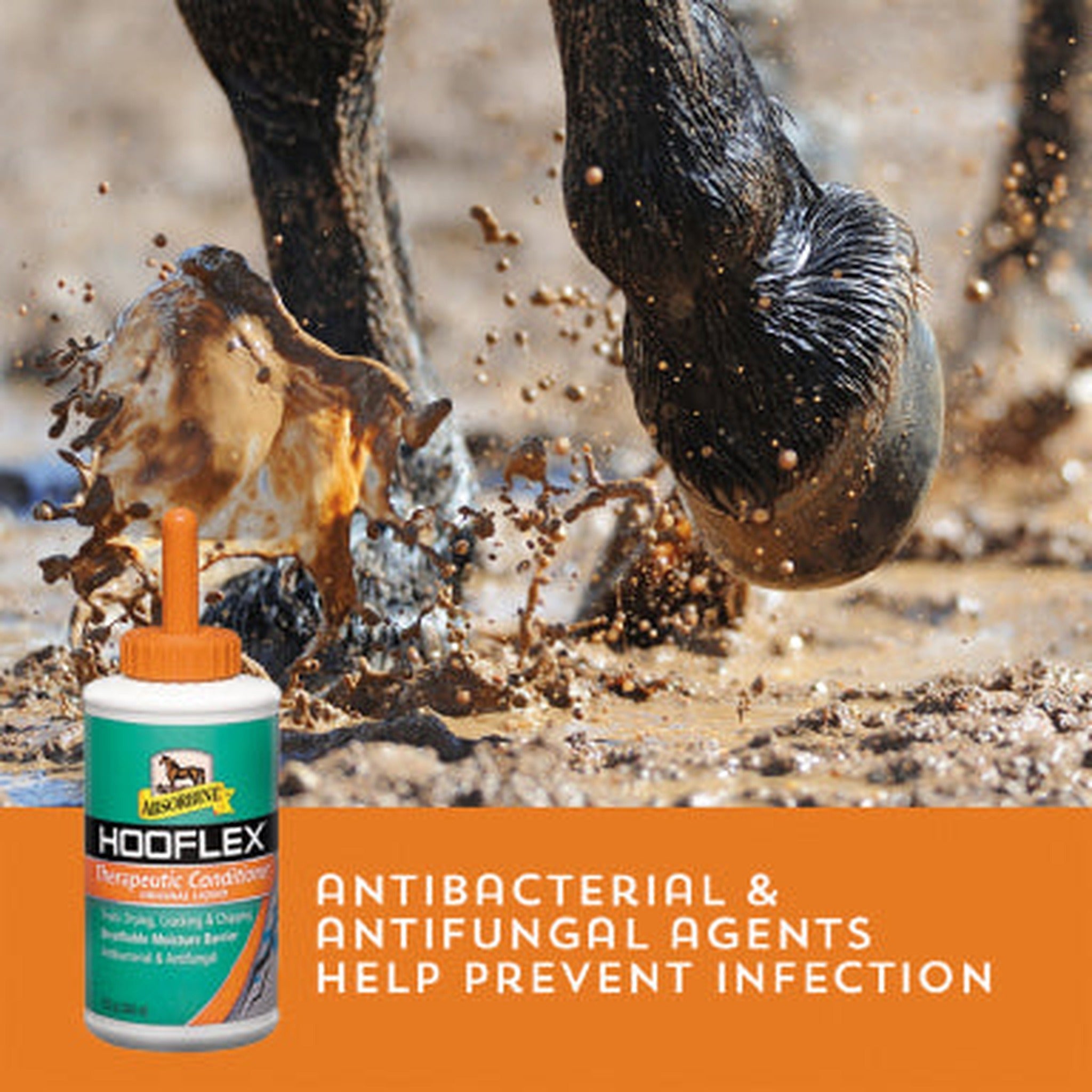 Absorbine Hooflex therapeutic conditioner liquid, antibacterial and antifungal agents help prevent infection