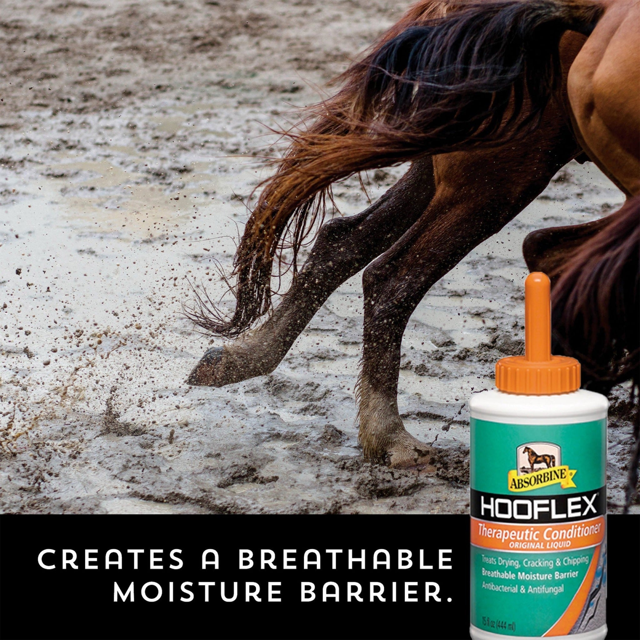 Absorbine Hooflex therapeutic conditioner liquid, breathable moisture barrier on hooves