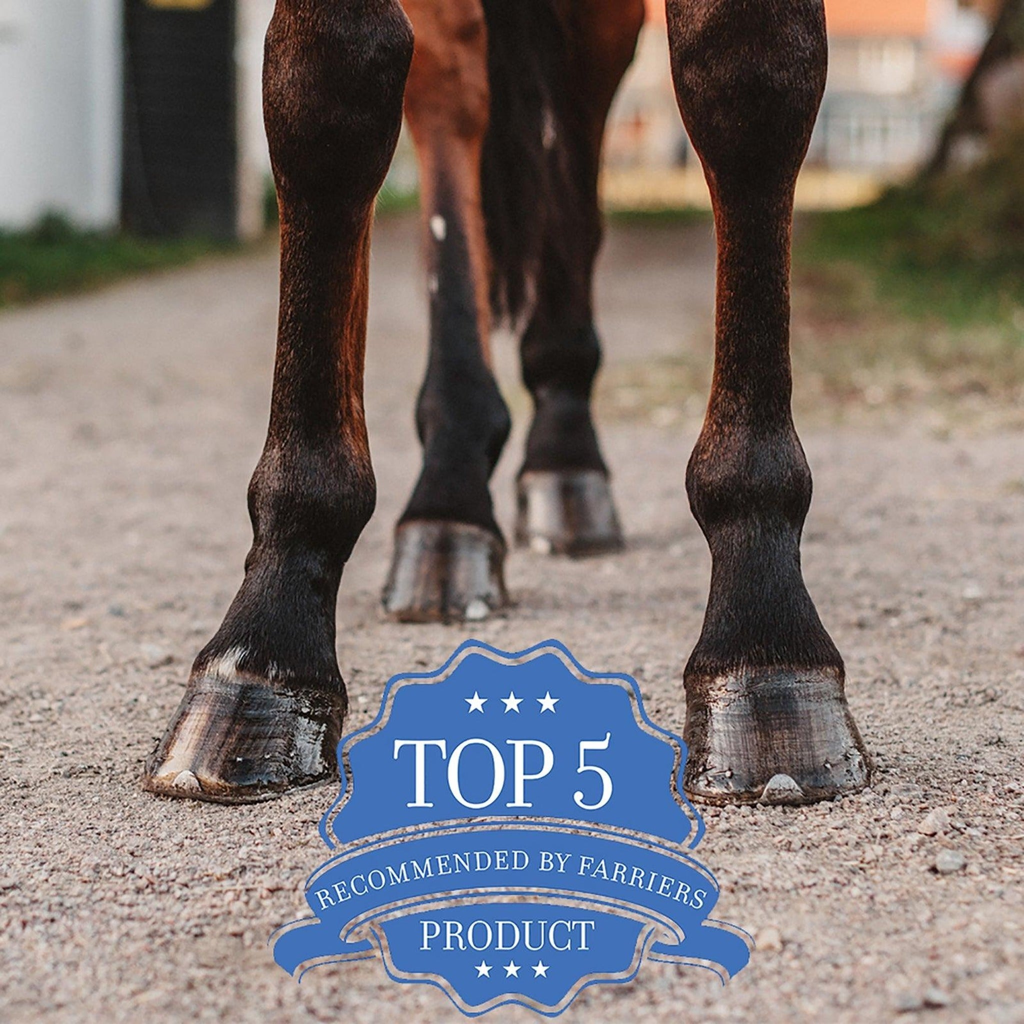 Absorbine Hooflex Magic Cushion Xtreme hoof packing, fast-acting relief for hard-working hooves