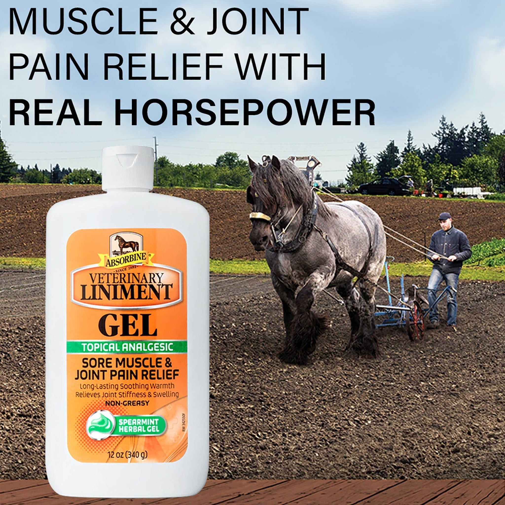 Absorbine Veterinary Liniment Gel, muscle and joint pain relief with real horsepower