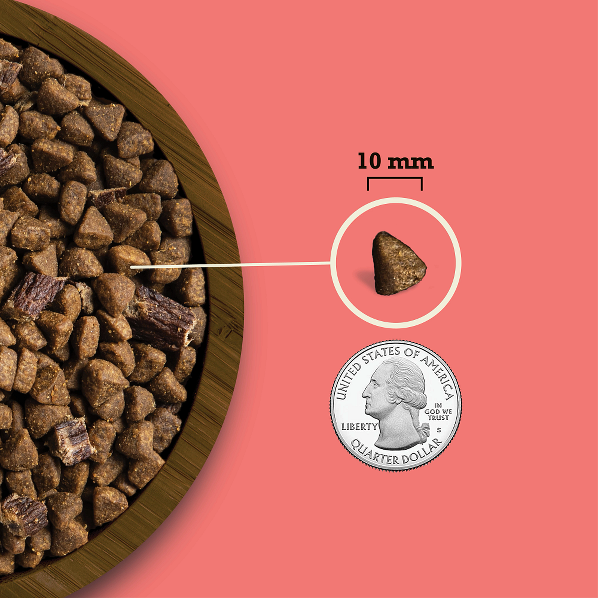 Acana Butcher's Favorites Farm-Raised Beef and Liver kibble shown at about 10 mm next to a quarter for size