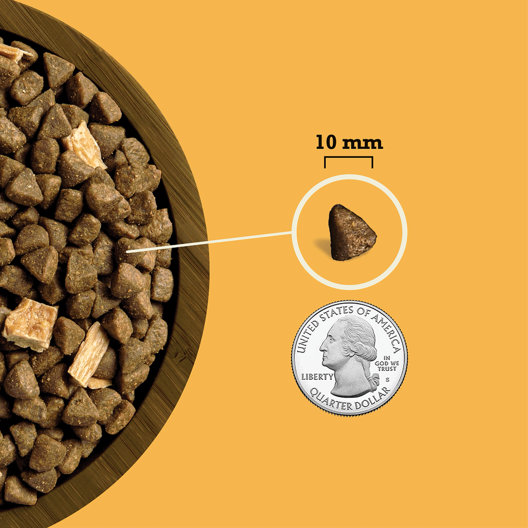 Acana Butcher's Favorites Free-Run Poultry and Liver kibble shown at about 10 mm next to a quarter for size