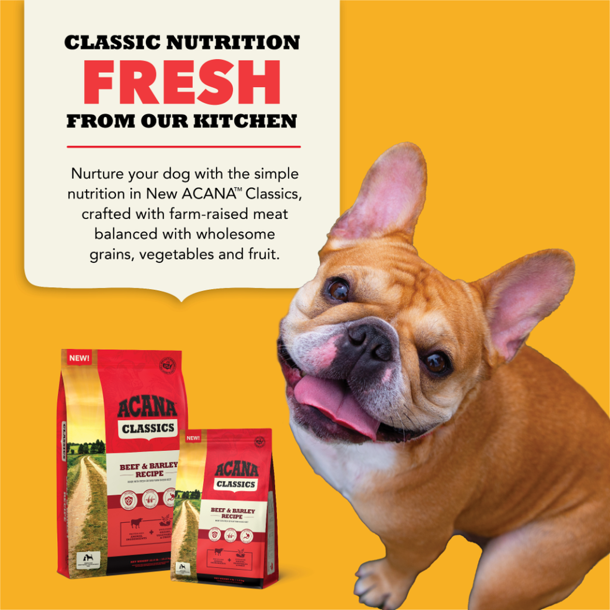 Acana Classics Classic Nutrition Fresh From Our Kitchen graphic with a French Bulldog and two Beef and Barley Recipe bags, describing farm-raised meat balanced with wholesome grains, vegetables and fruit