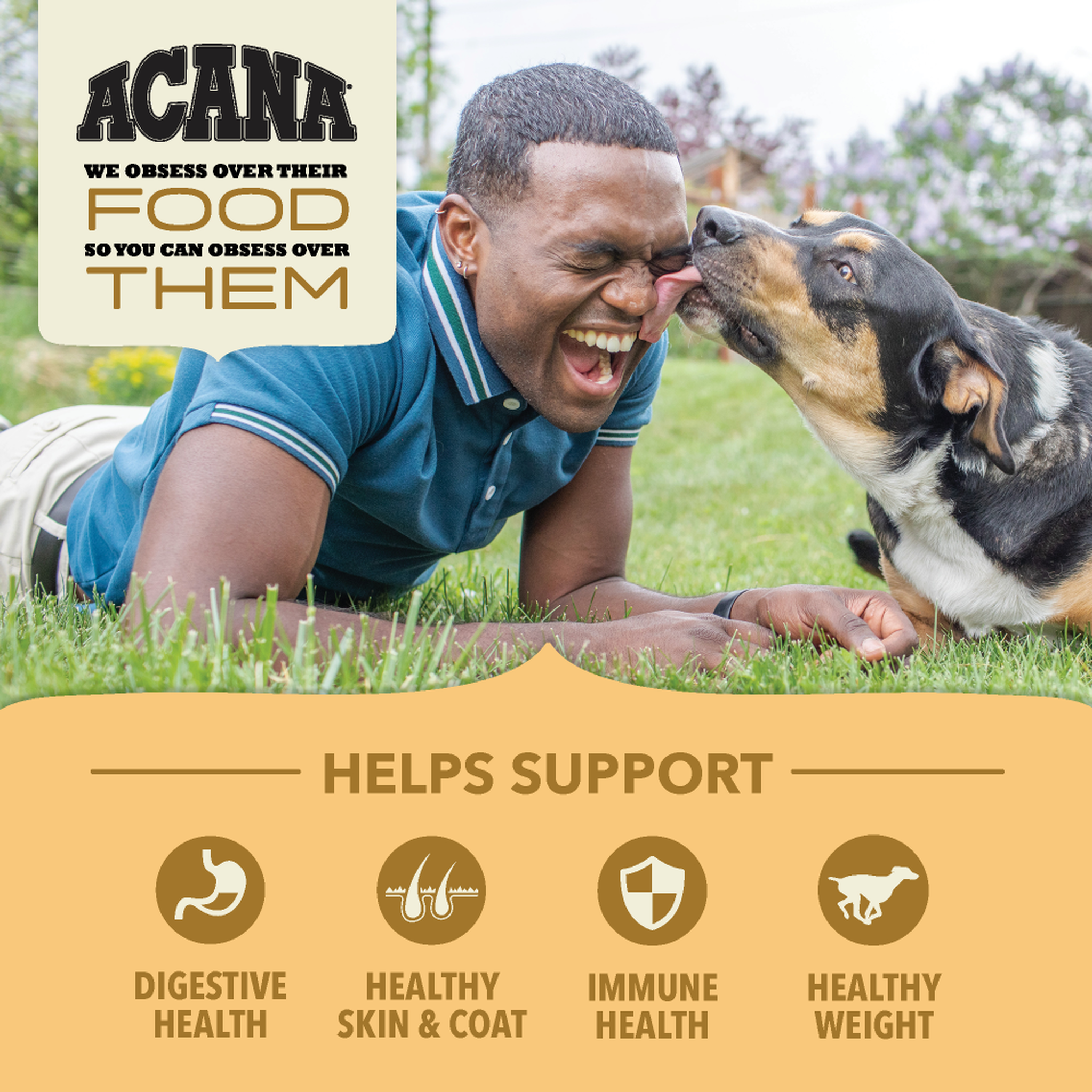 Acana Free-Run Poultry with Wholesome Grains supports digestive health, skin and coat, immune health and healthy weight