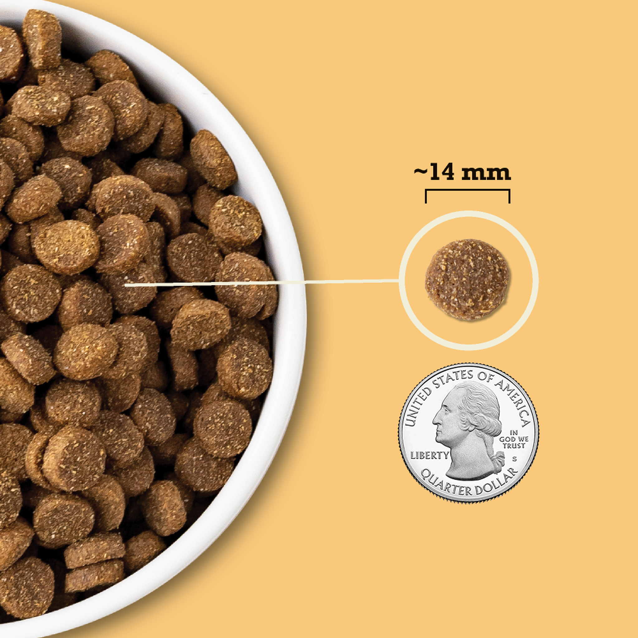 Acana Free-Run Poultry with Wholesome Grains kibble in a bowl shown at about 14 mm next to a quarter