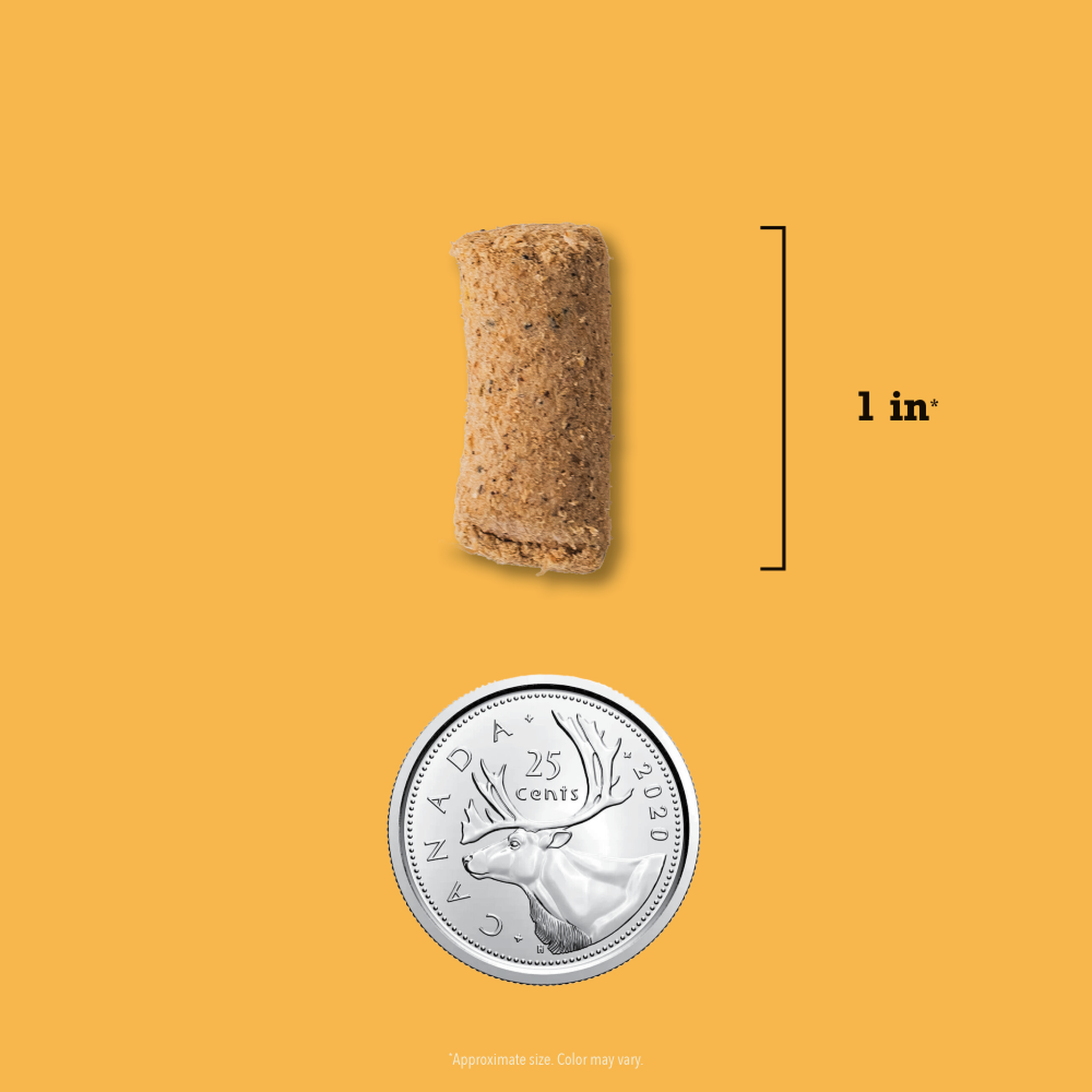 Freeze-dried morsel size shown at about one inch