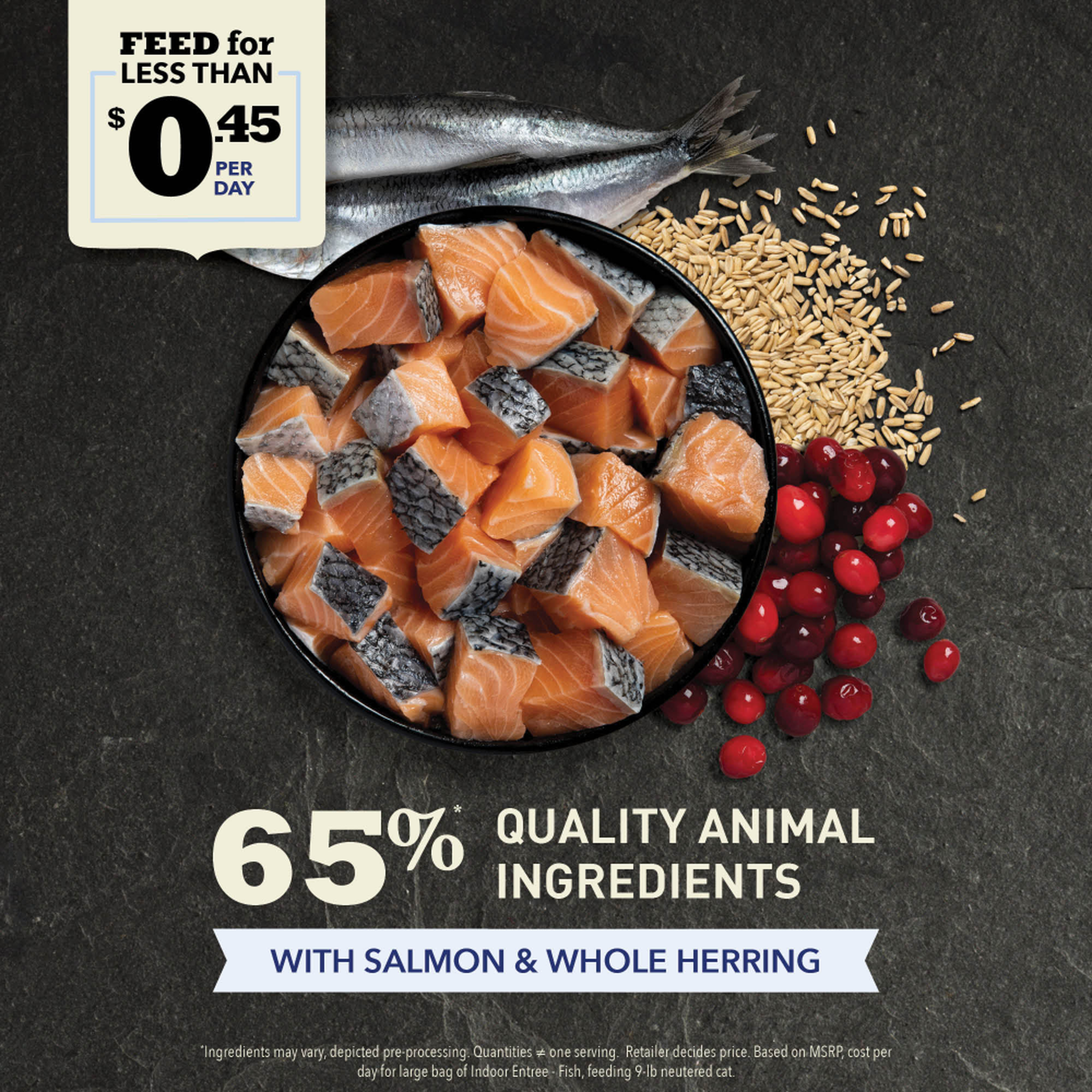 Bowl of raw salmon and whole herring with oat groats and cranberries for ACANA Indoor Entrée cat food, made with 65 percent quality animal ingredients