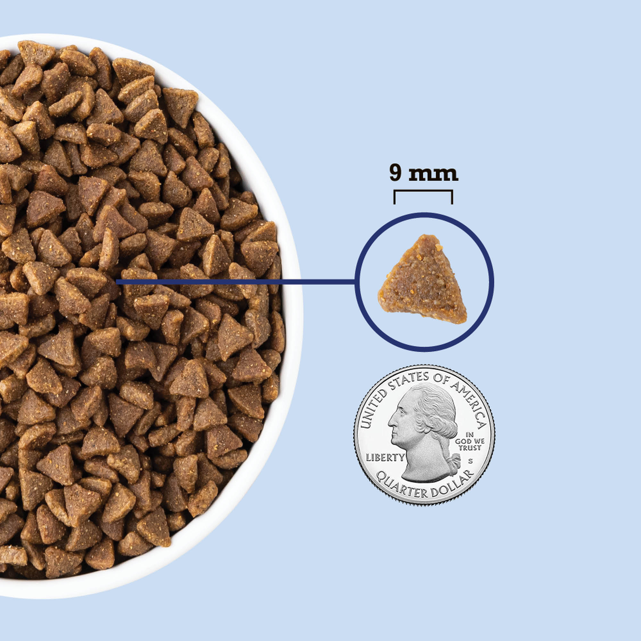 Close-up of ACANA Indoor Entrée triangular cat kibble in a white bowl next to a quarter coin showing the 9 mm kibble size