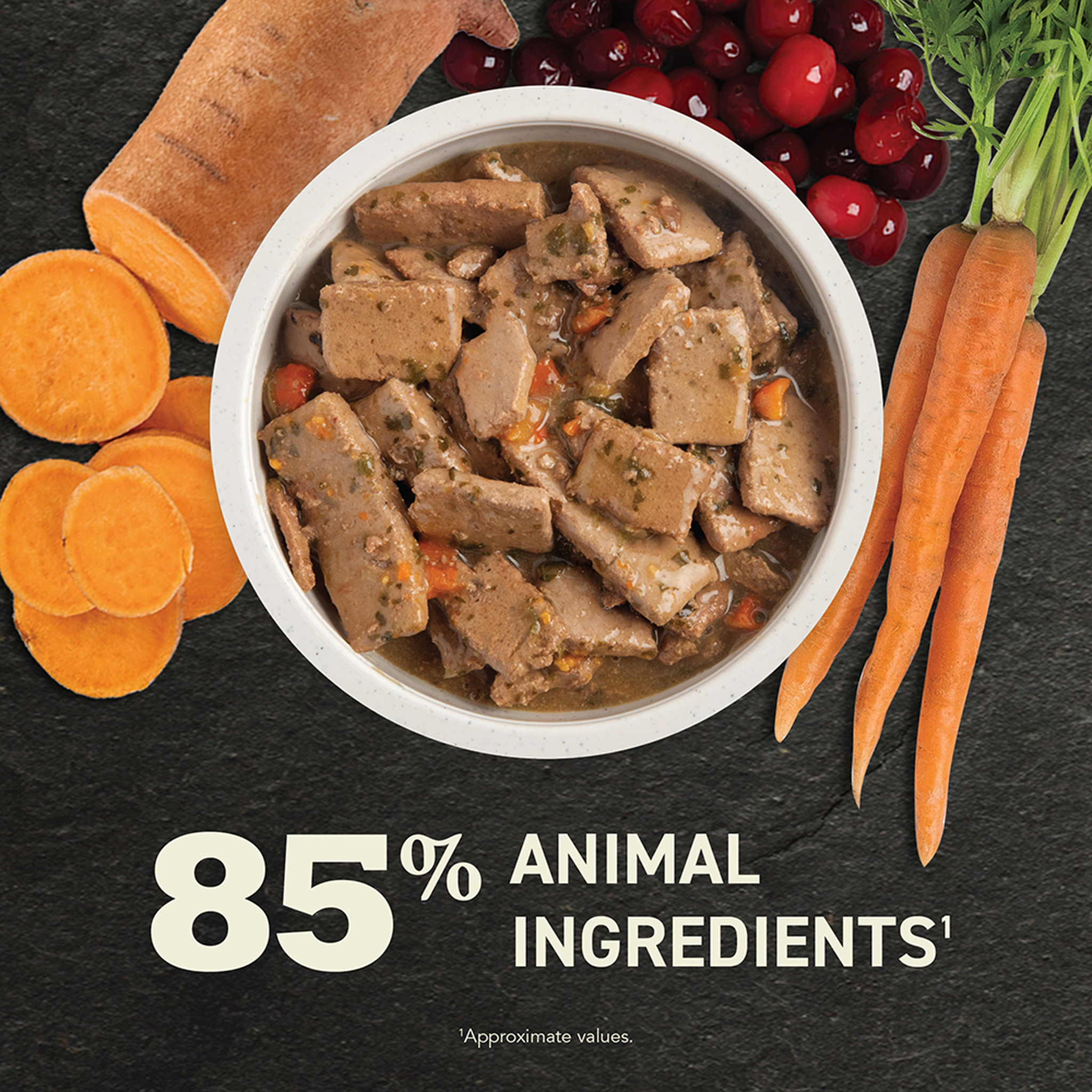 Overhead bowl of ACANA Premium Chunks Lamb Recipe in Bone Broth showing chunks of lamb in savory broth surrounded by sweet potato, cranberries, and carrots, 85 percent animal ingredients