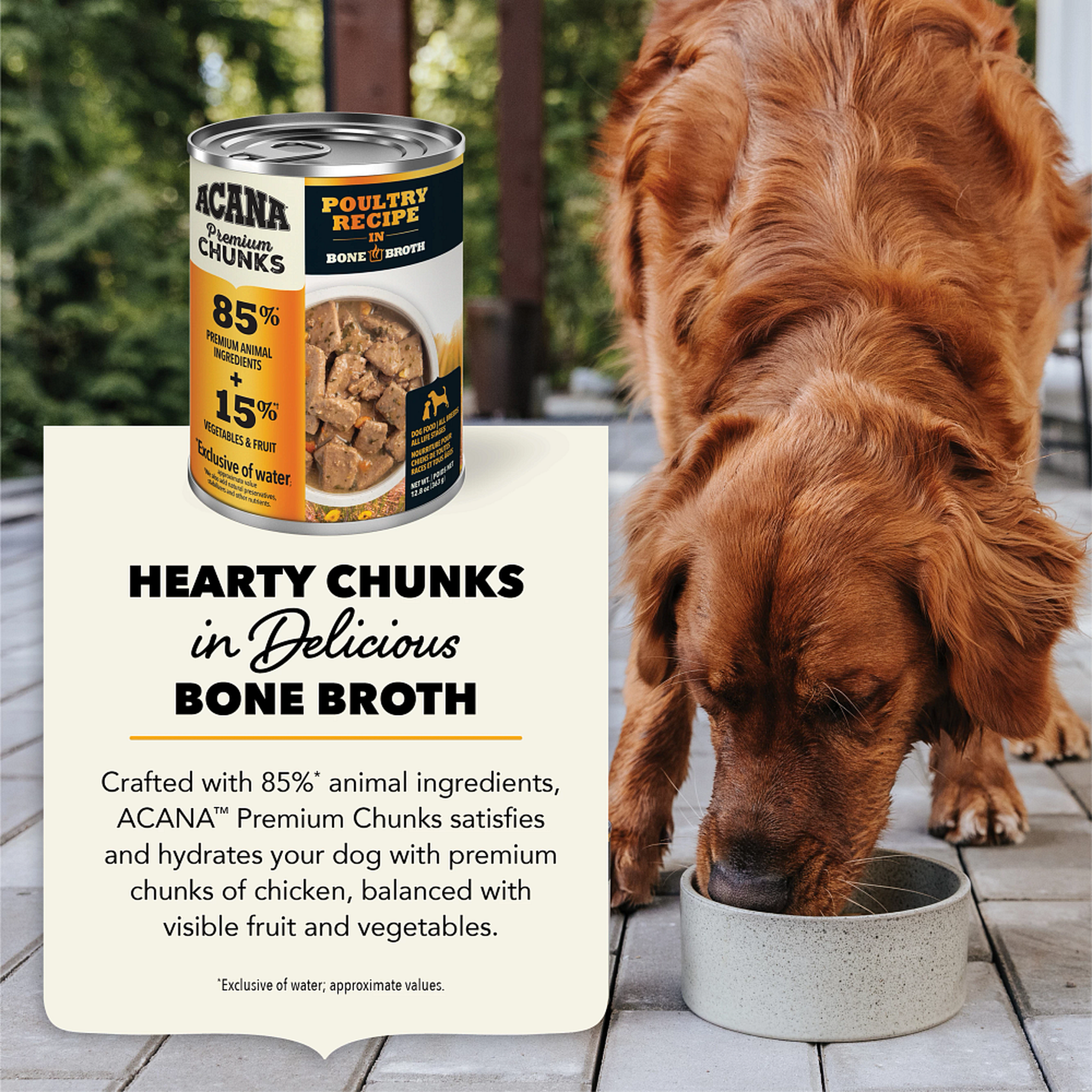 Hearty chunks in delicious bone broth: ACANA Premium Chunks Poultry crafted with 85 percent animal ingredients, shown with a dog eating from a bowl