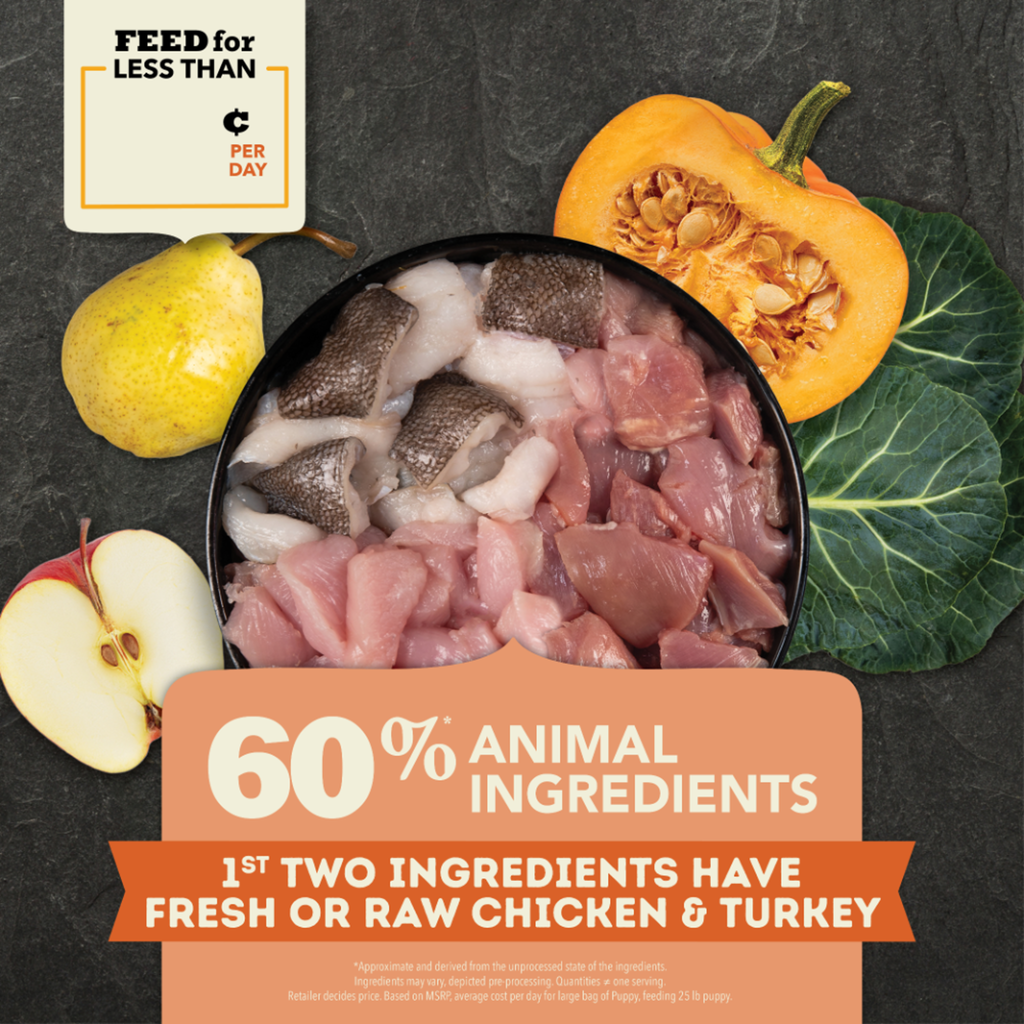 Bowl of raw chicken, turkey and flounder with pumpkin, apple and pear for Acana Puppy Recipe