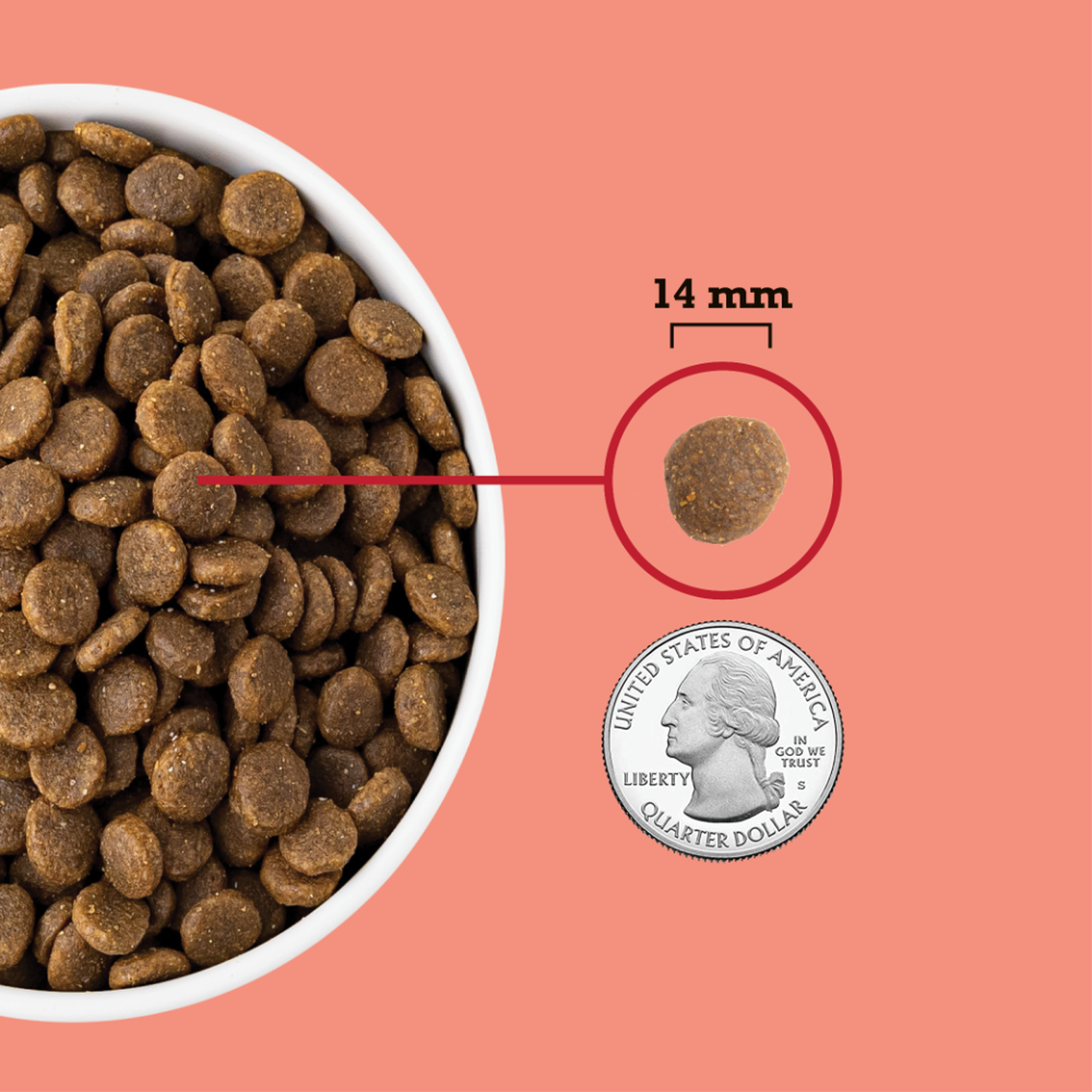 Close-up of Acana Red Meat Formula kibble with a 14 mm piece shown next to a quarter for size