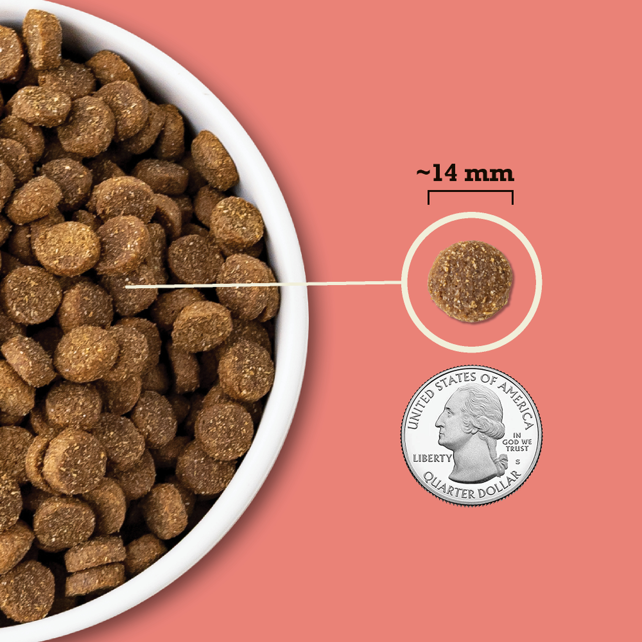 Acana Red Meat Recipe with Wholesome Grains kibble shown at about 14 mm next to a quarter for size