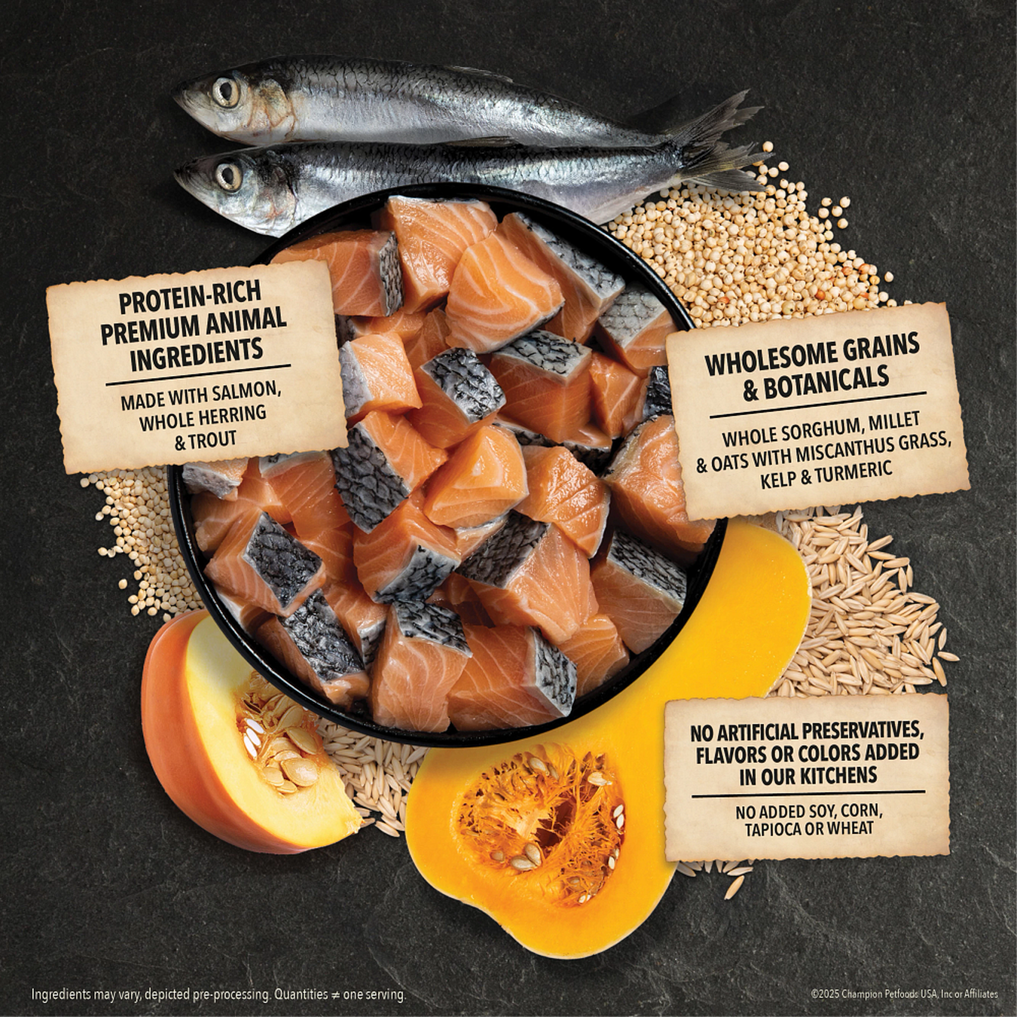 Bowl of raw salmon, whole herring and trout with whole sorghum, millet and oats plus butternut squash and pumpkin, highlighting protein-rich animal ingredients and wholesome grains with no artificial preservatives