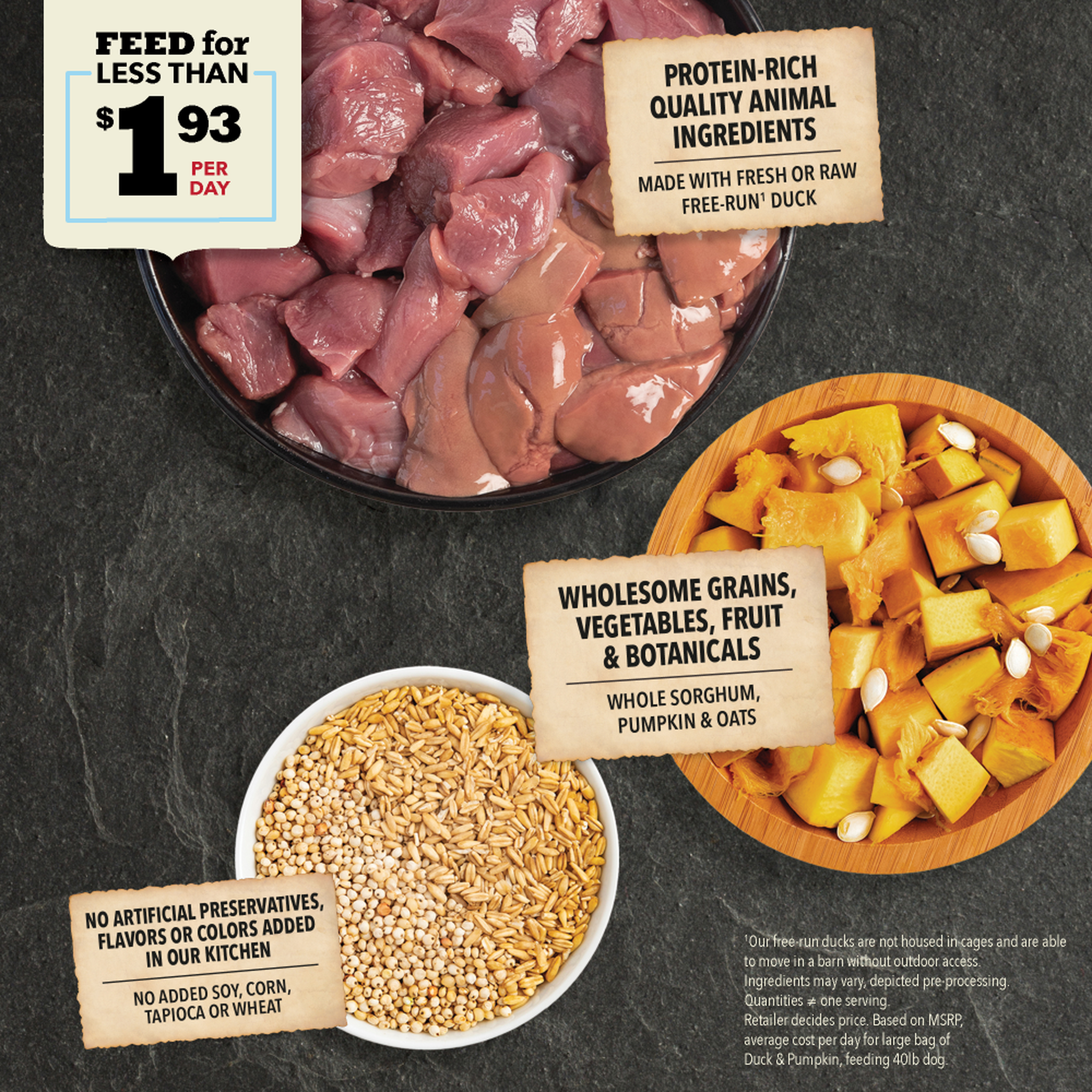 Acana Duck & Pumpkin with Wholesome Grains made with fresh or raw free-run duck, whole sorghum, pumpkin and oats