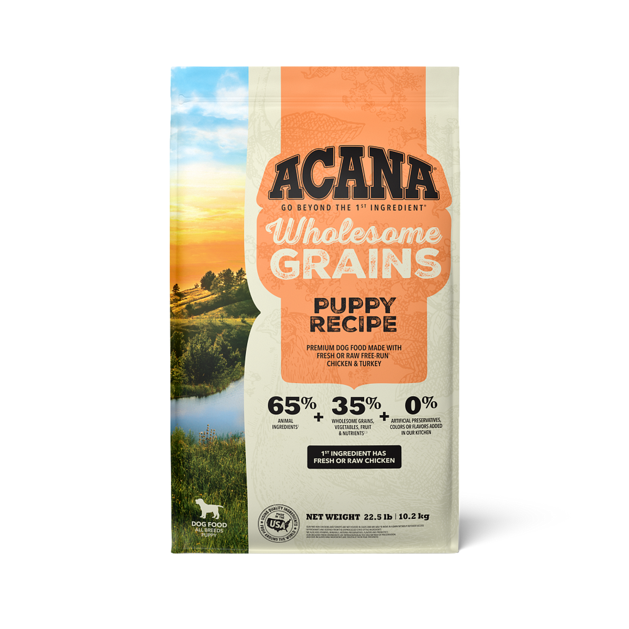 Acana Puppy Recipe with Wholesome Grains dry dog food front of 22.5 lb bag with real chicken, eggs and turkey