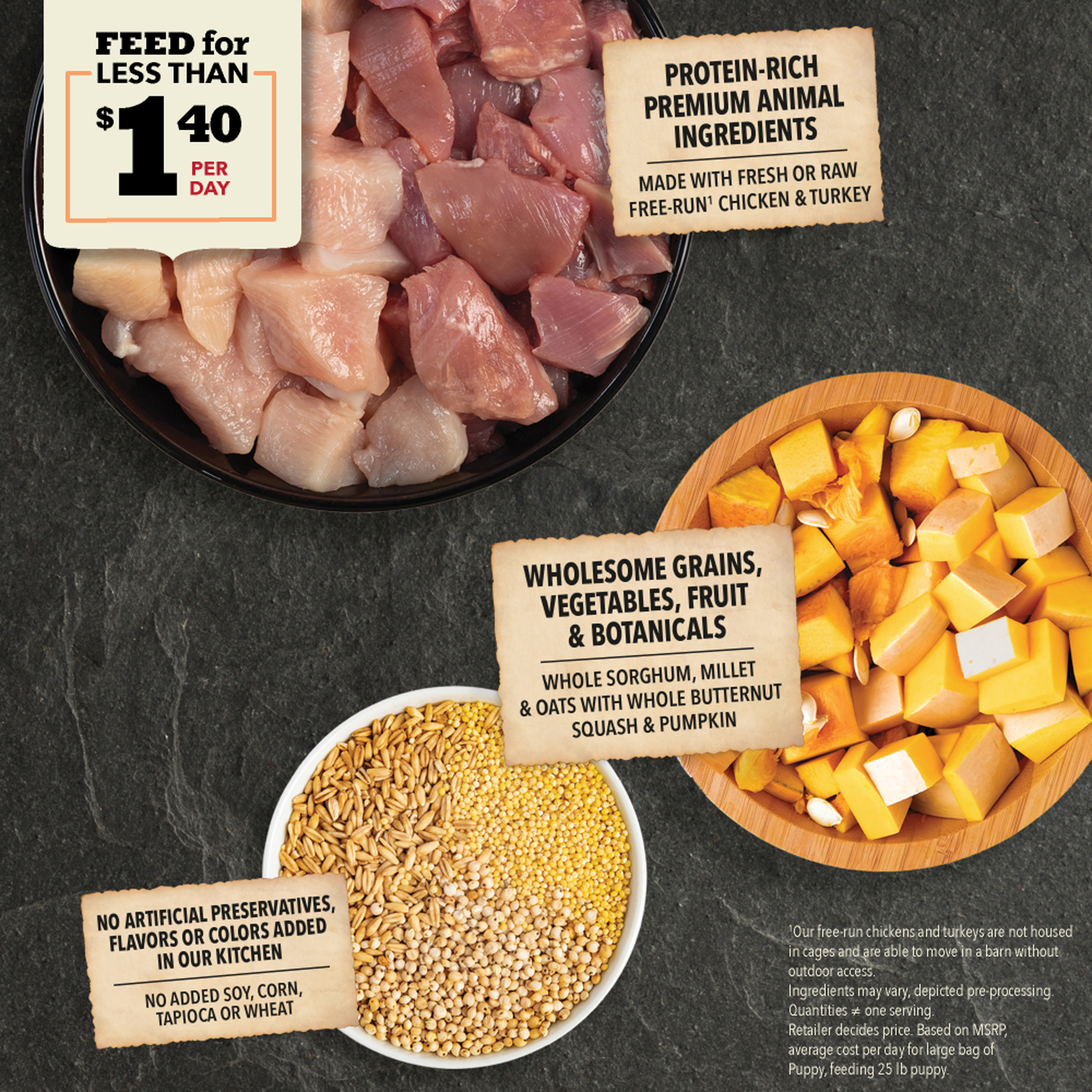 Raw chicken and turkey, whole sorghum, millet and oats, butternut squash and pumpkin ingredients for Acana Wholesome Grains Puppy Recipe