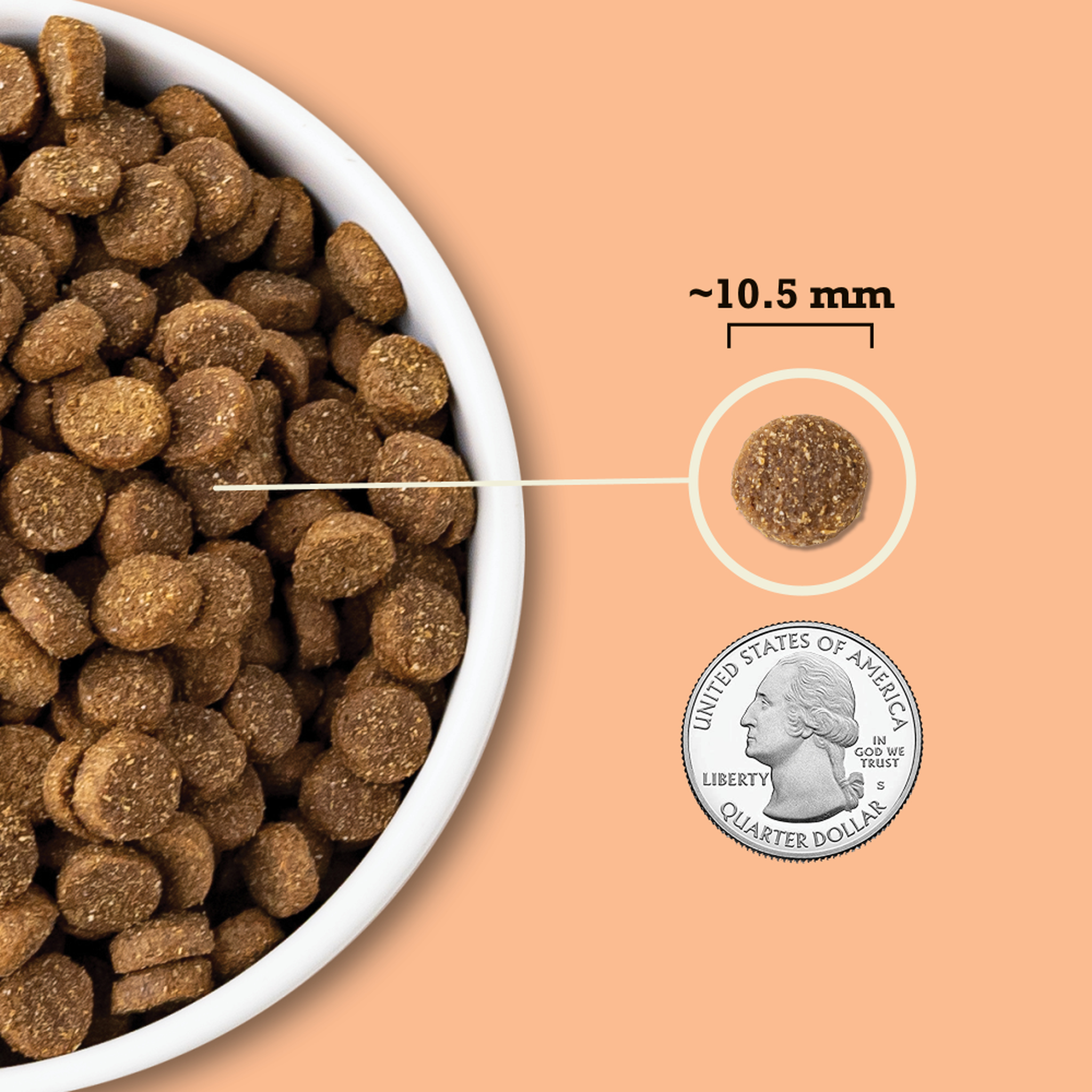 Close-up of Acana Wholesome Grains Puppy small kibble shown at about 10.5 mm next to a quarter for scale