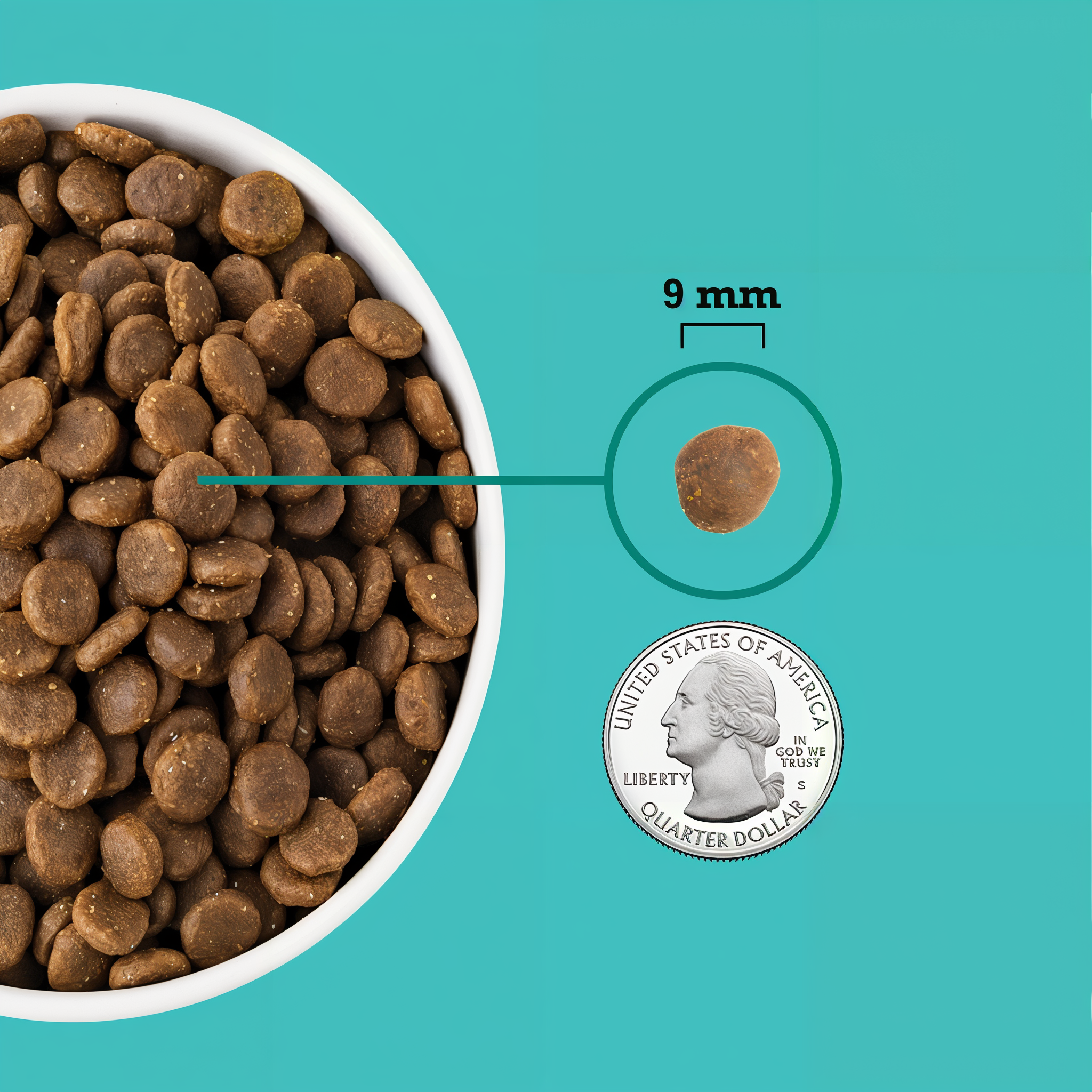 Close-up of Acana Wholesome Grains Puppy Sea & Farm small kibble shown at about 9 mm next to a quarter for scale